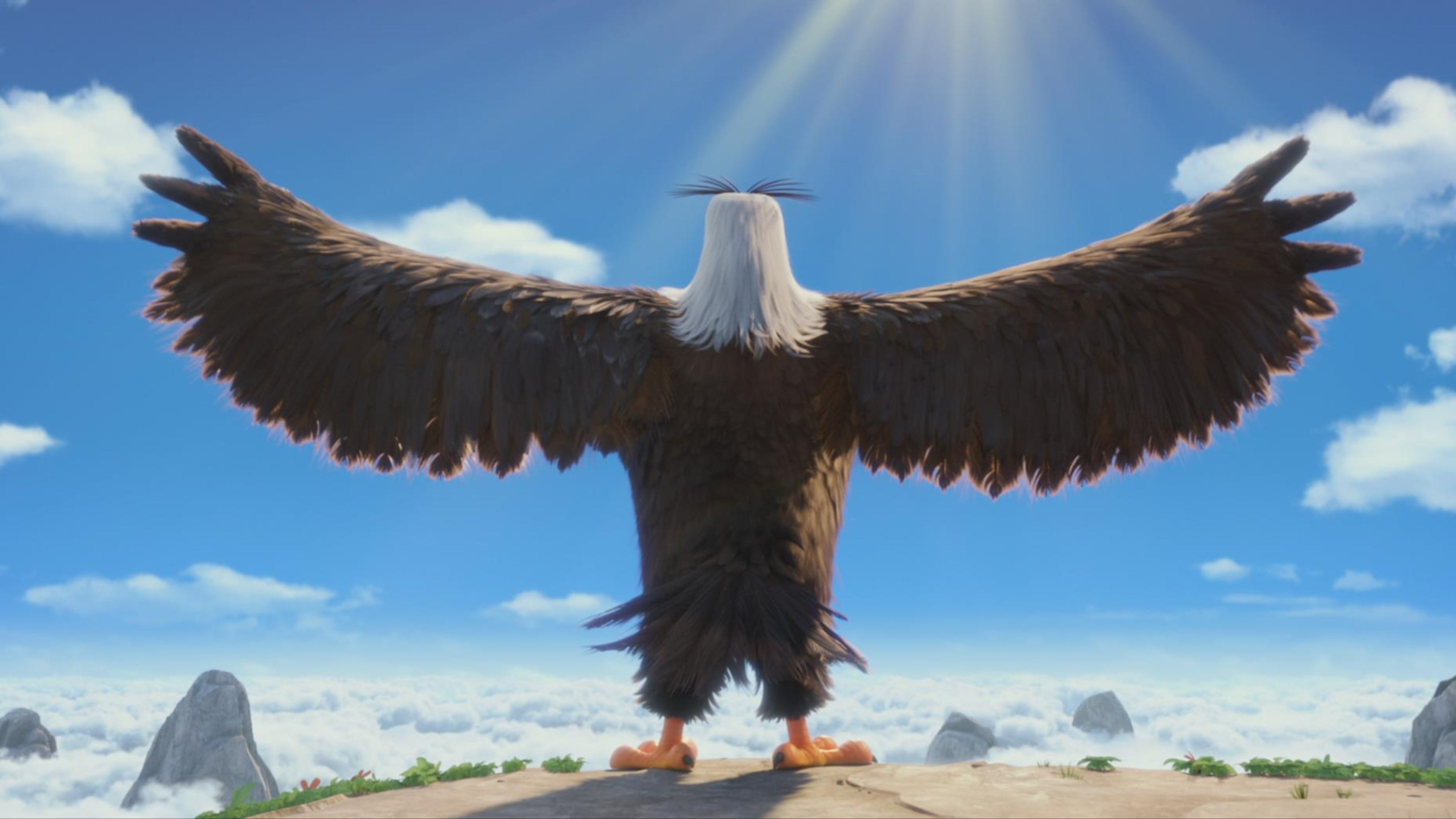 angry birds, movies, animated movies, 2016 movies, the angry birds movie