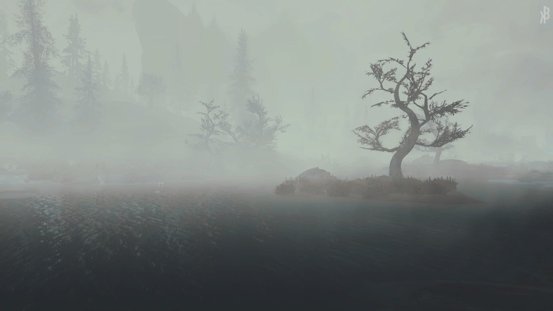 video games, The Elder Scrolls V: Skyrim, tree, fog, tranquility