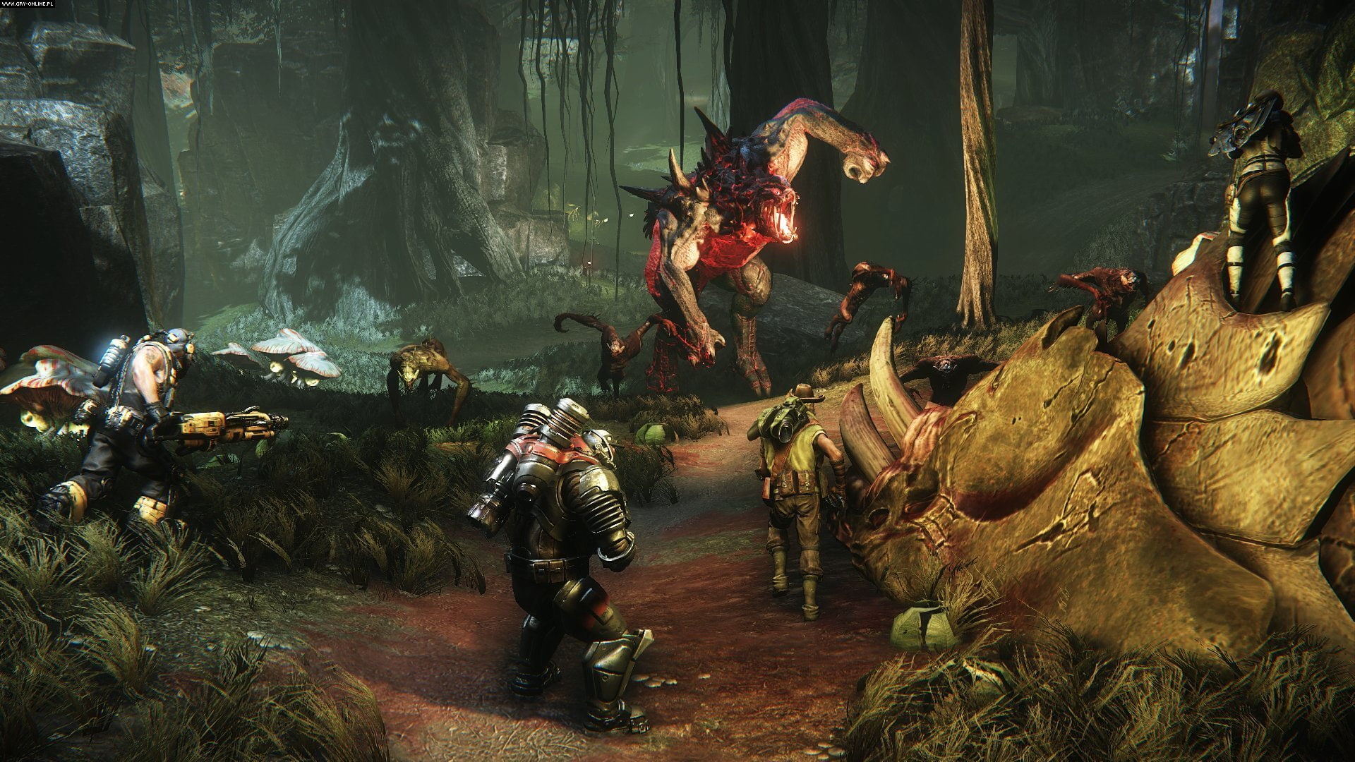 Video Game, Evolve