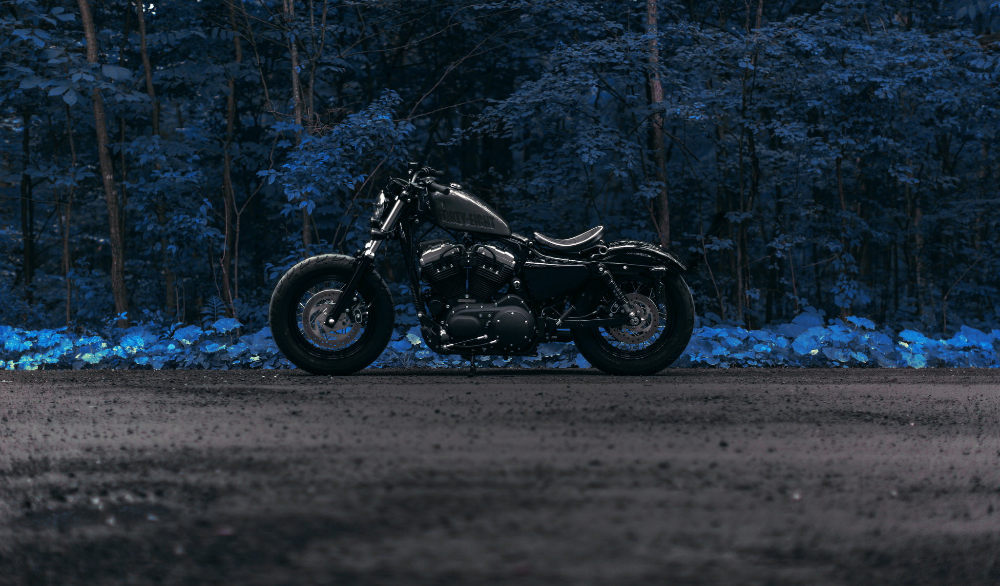 road, forest, Harley Forty Eight, mode of transportation, land vehicle