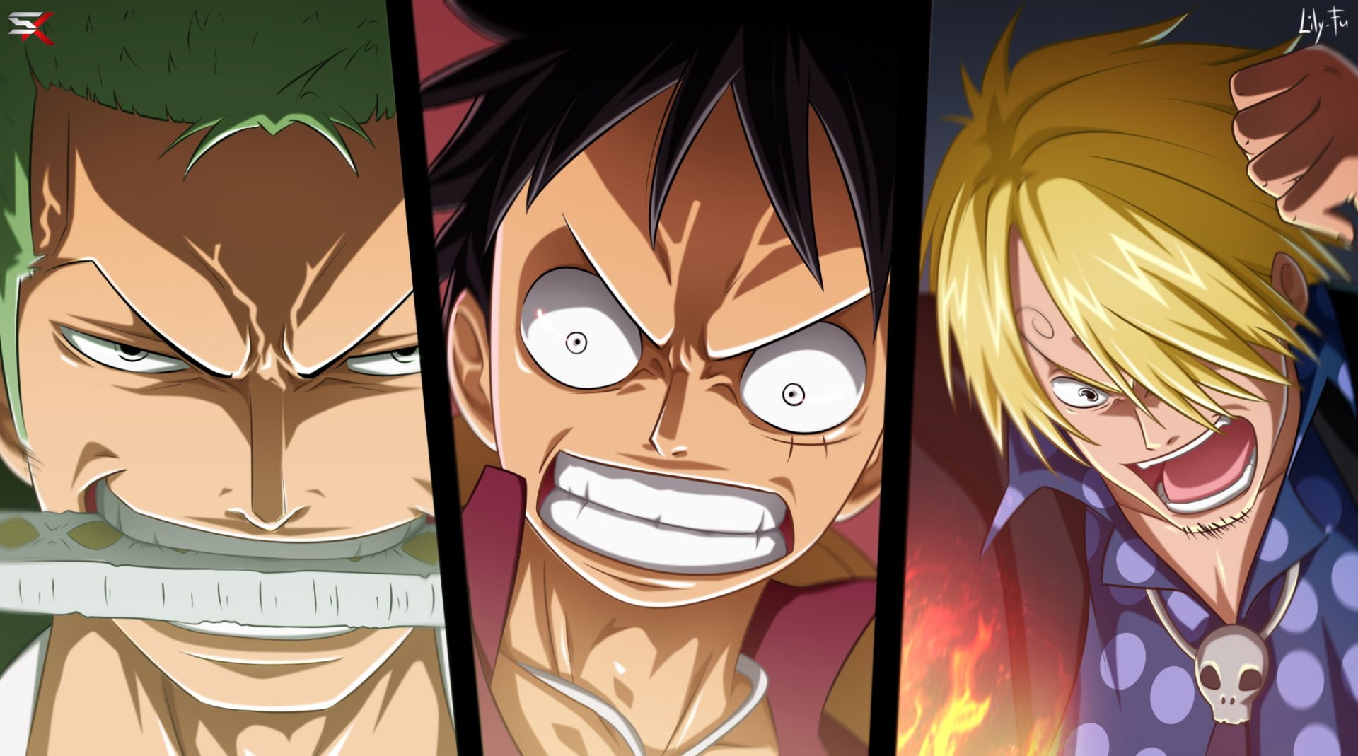 Anime, One Piece, Monkey D. Luffy, Sanji (One Piece), Zoro Roronoa