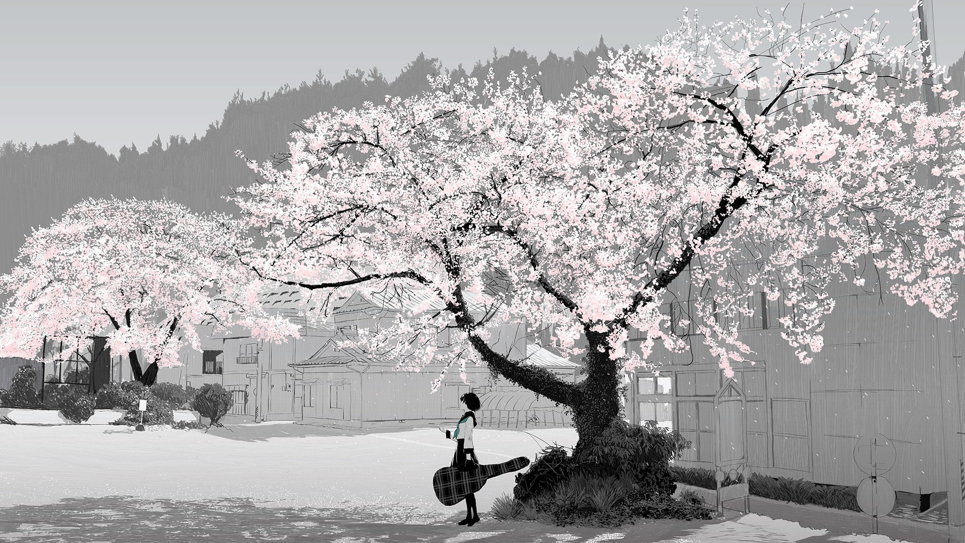 anime, anime girls, cherry blossom