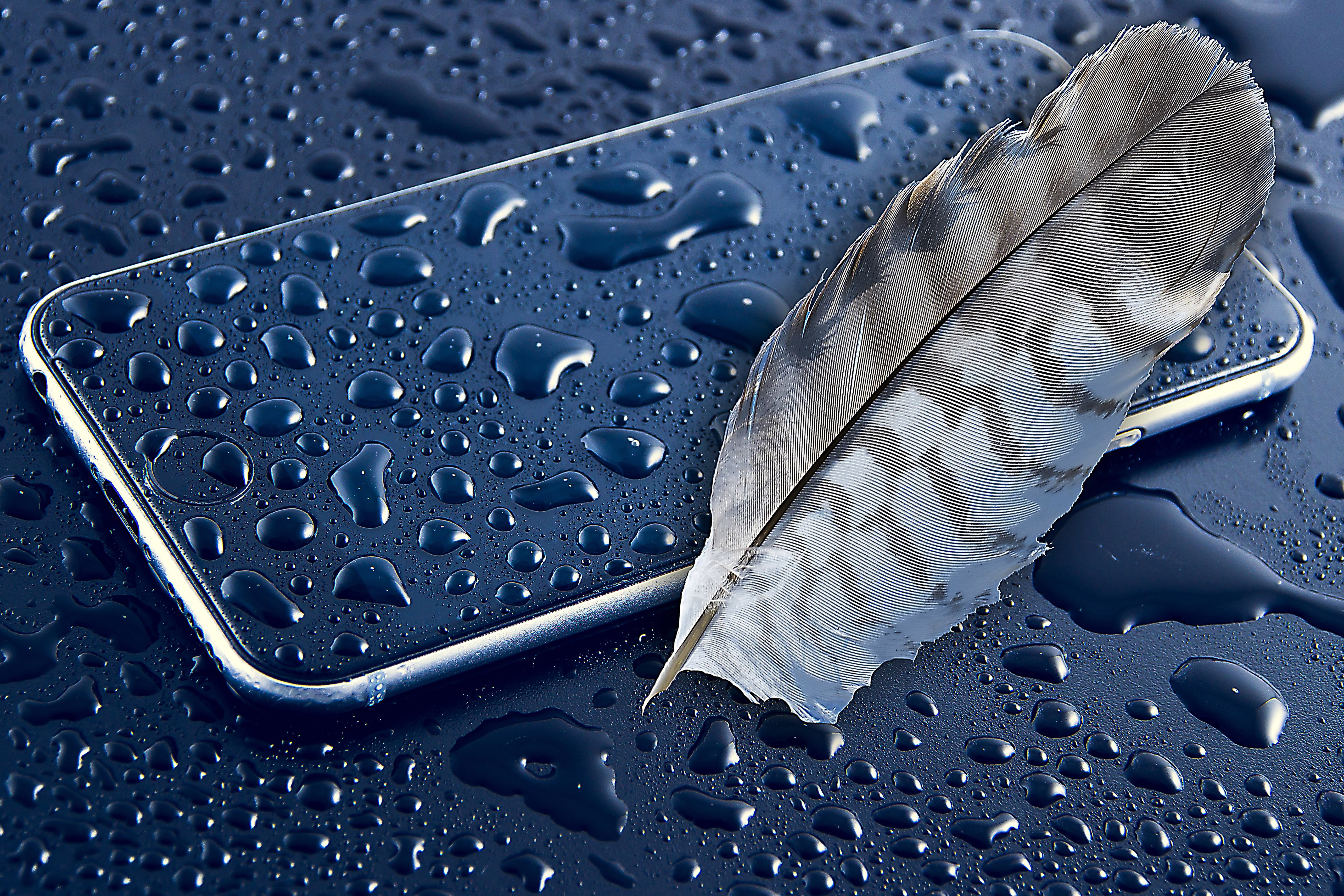 gray feather, iphone 6, apple, smartphone, bird, backgrounds