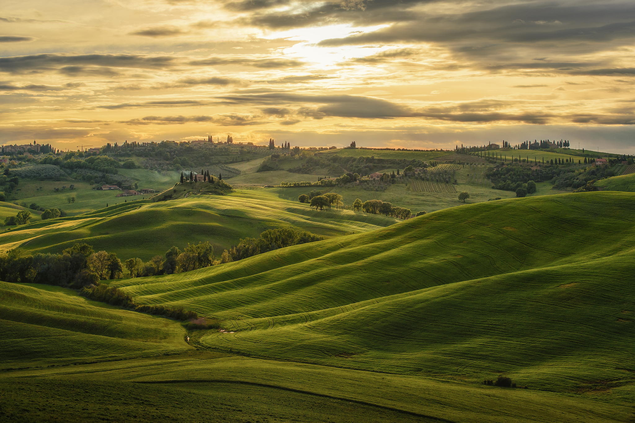 green grass field, hills, Italy, Tuscany, estate, Val dOrcia