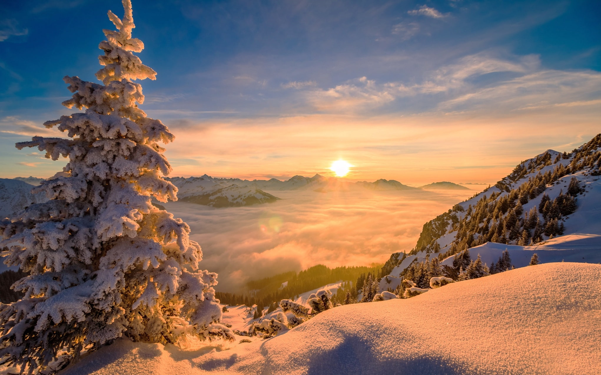 nature, Sun, winter, pine trees, snow, mountains, mist, sunrise