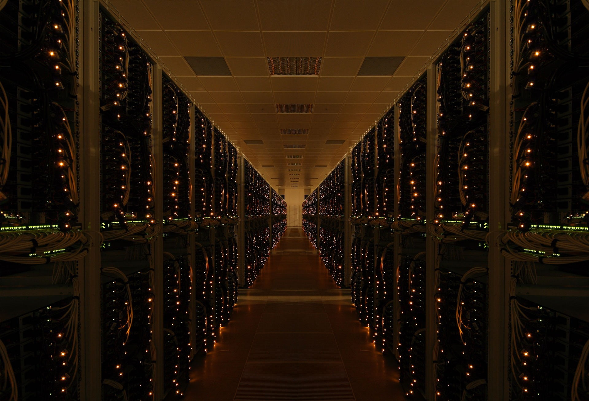 pink string lights, network, Network cable, server, switch, technology