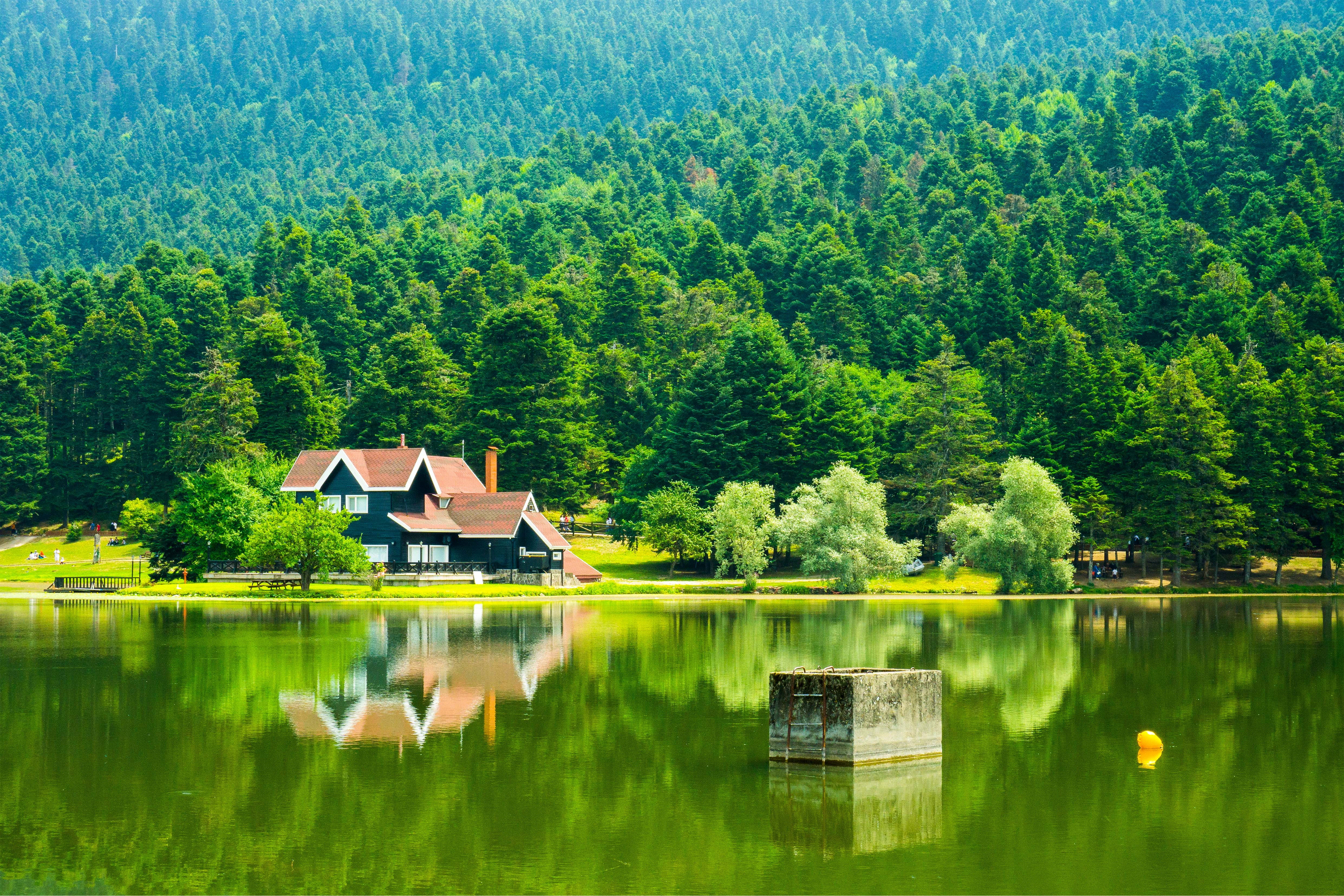 brown wooden house, green, natural light, landscape, Bolu, Gölcük Gölü