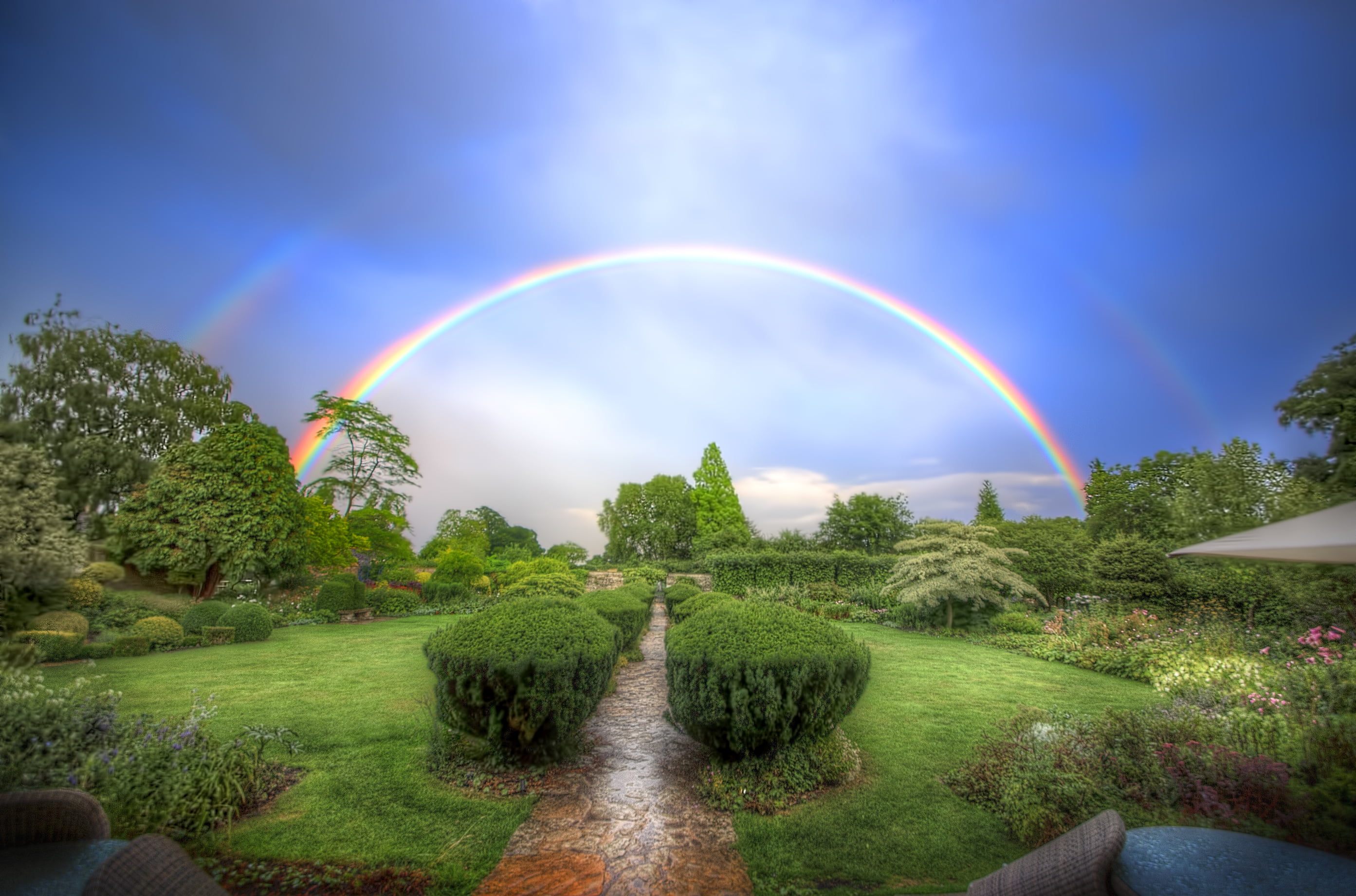 Free download | HD wallpaper: green leaf trees, the sky, Park, rainbow ...