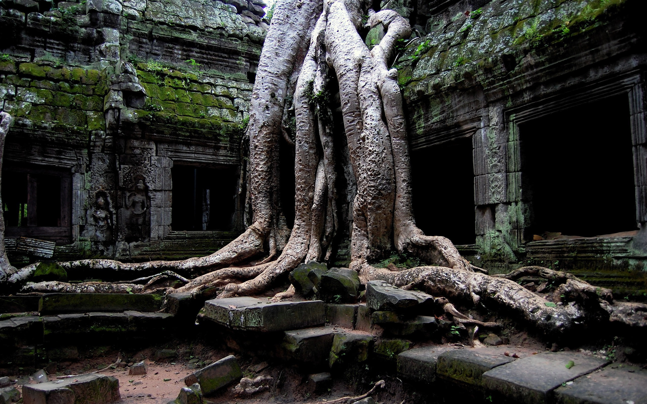 landscape, architecture, built structure, tree, old, plant