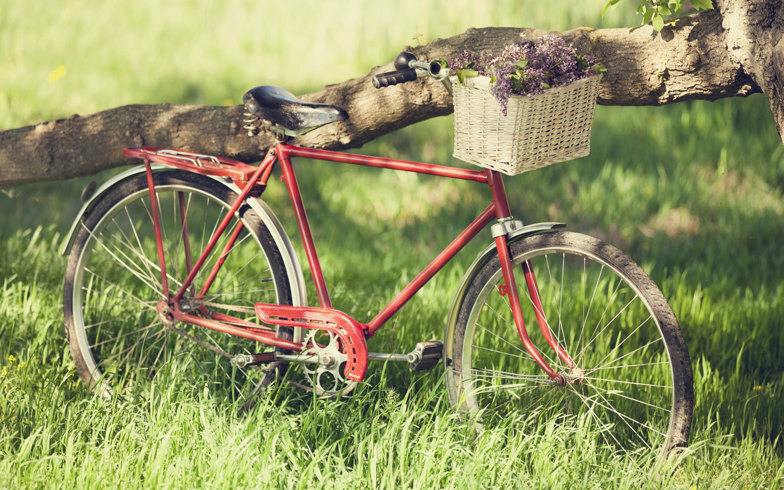 red road bike, greens, summer, grass, dream, freedom, joy, flowers