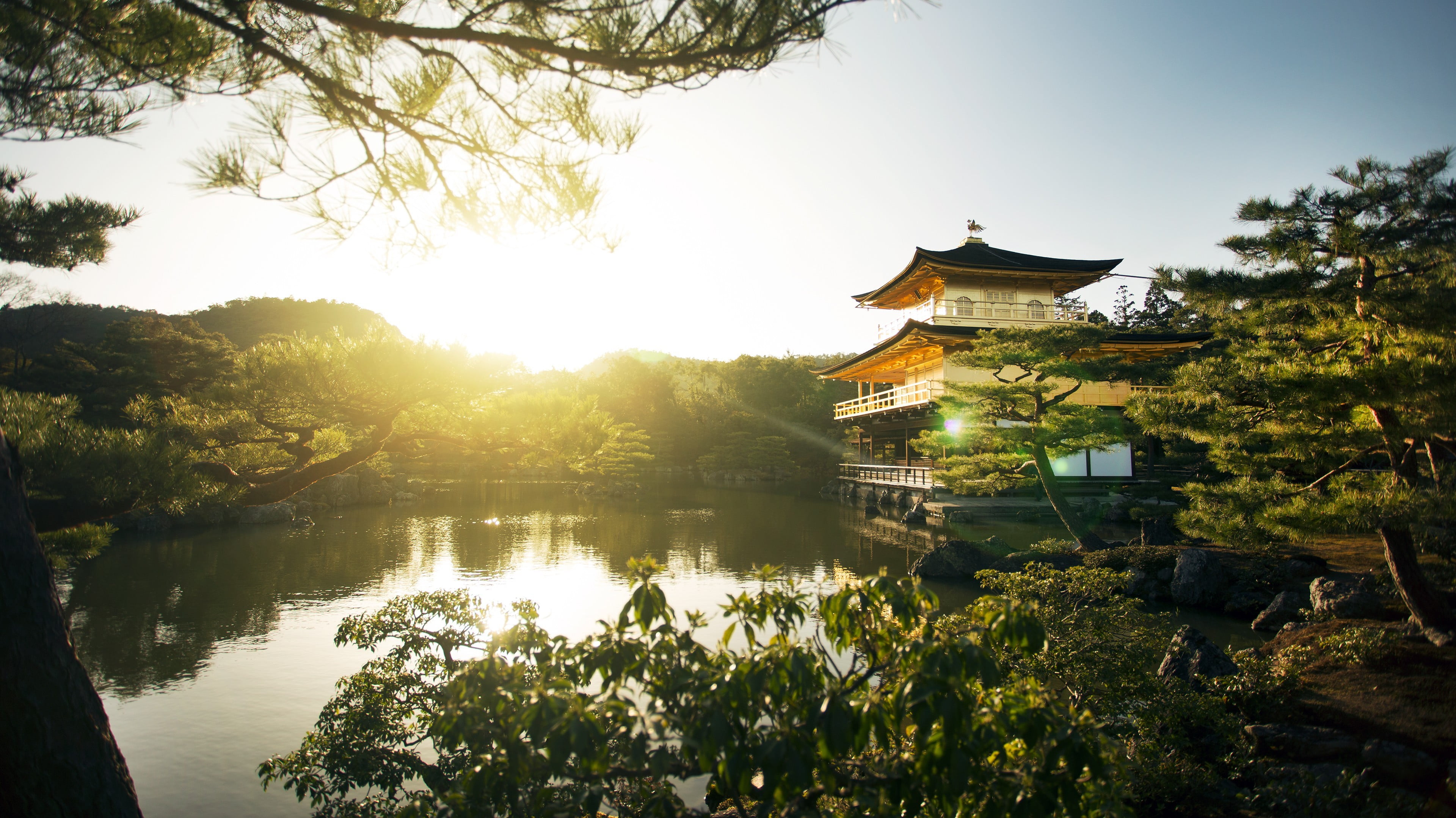 white and brown pagoda temple, landscape, kinkakuji, sunset, trees