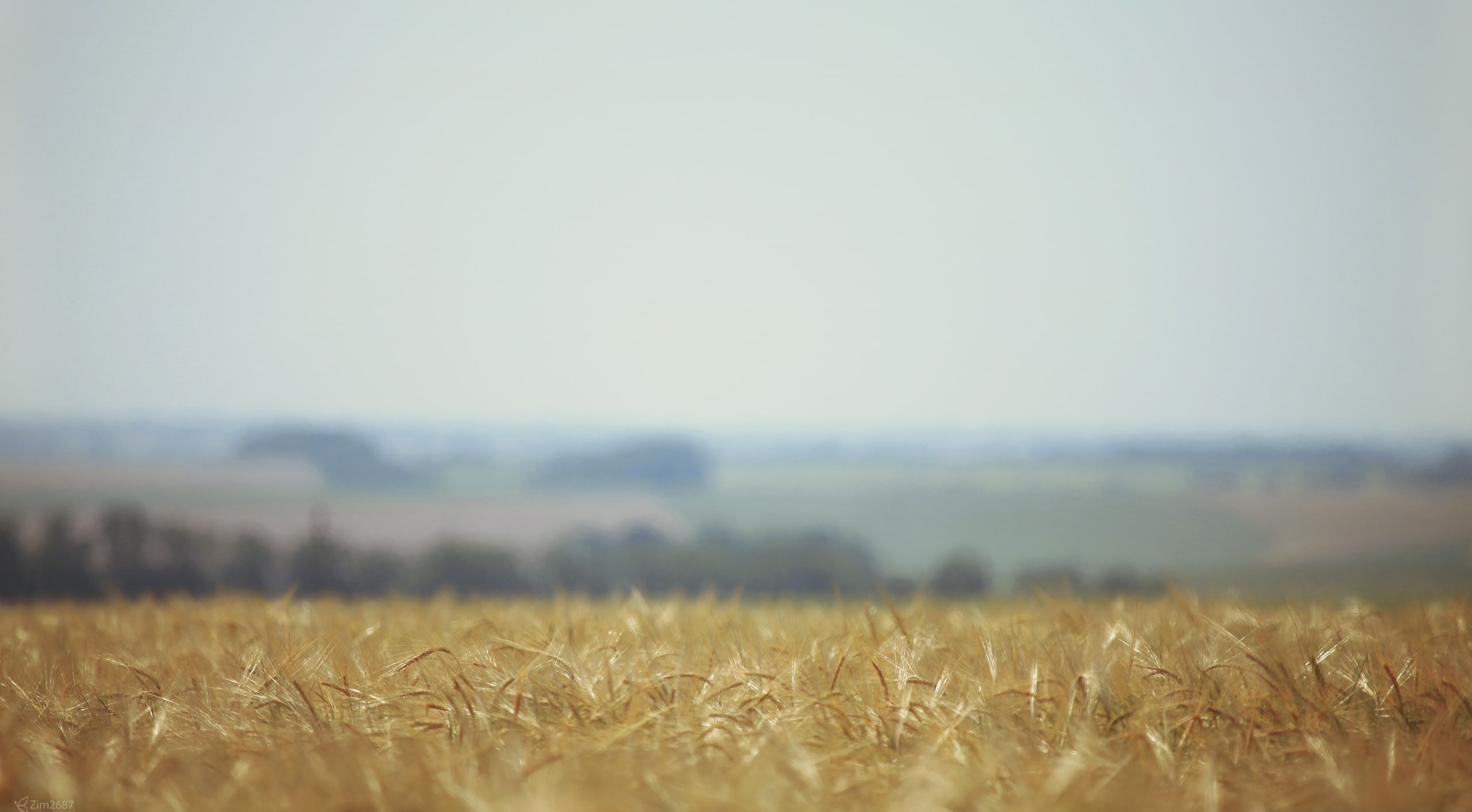 Wind, Nature, Landscape