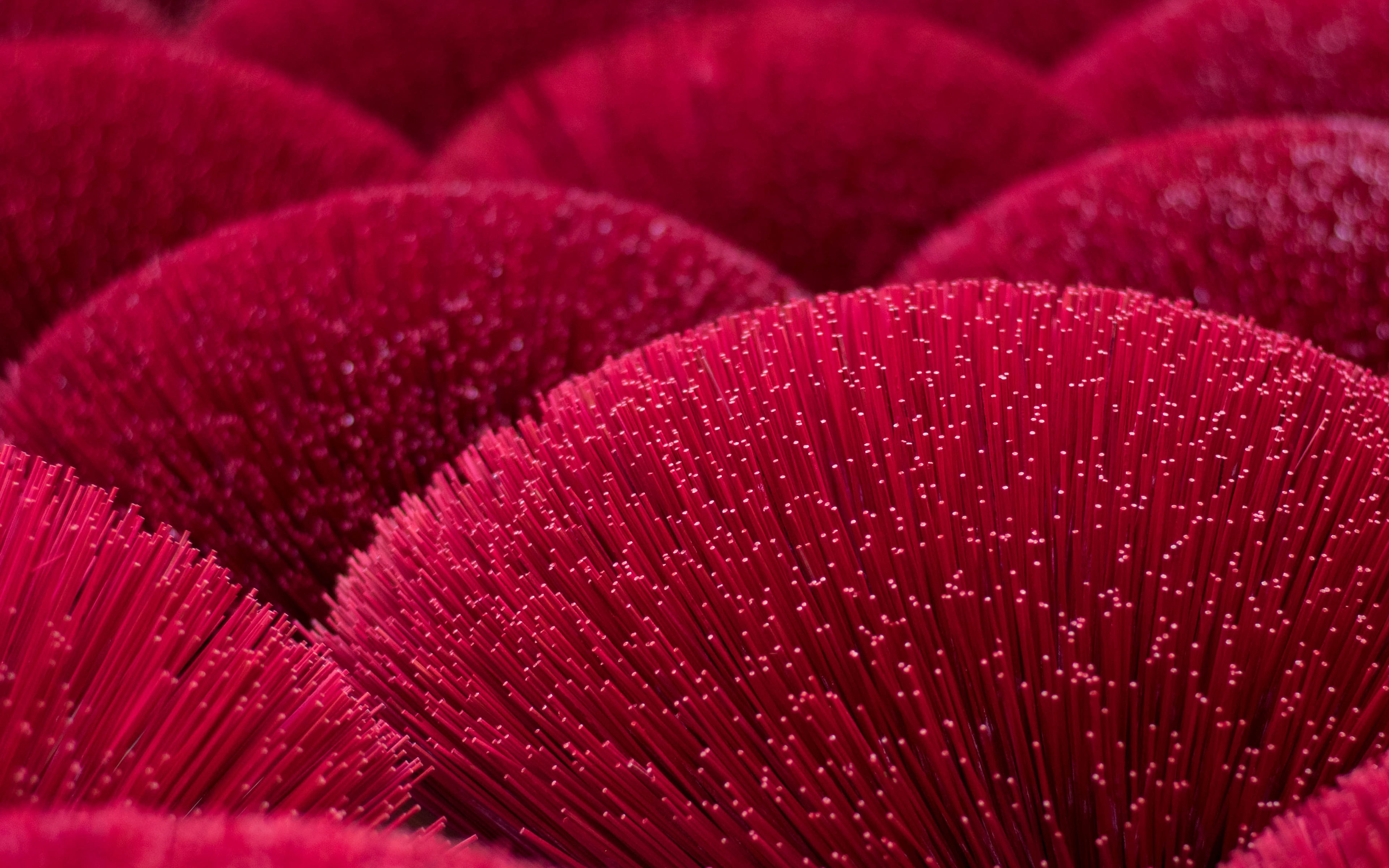 light, dot, digital, red, line, pattern, background, close-up