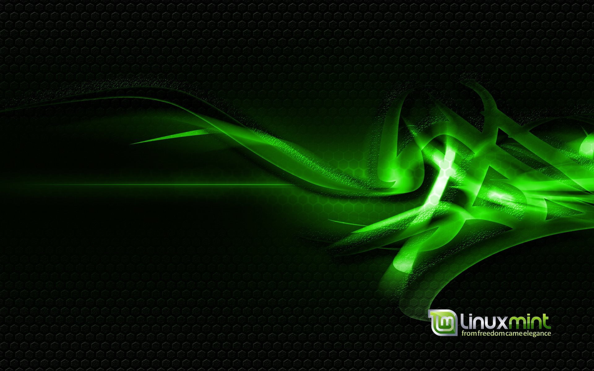 Linux Mint, computer