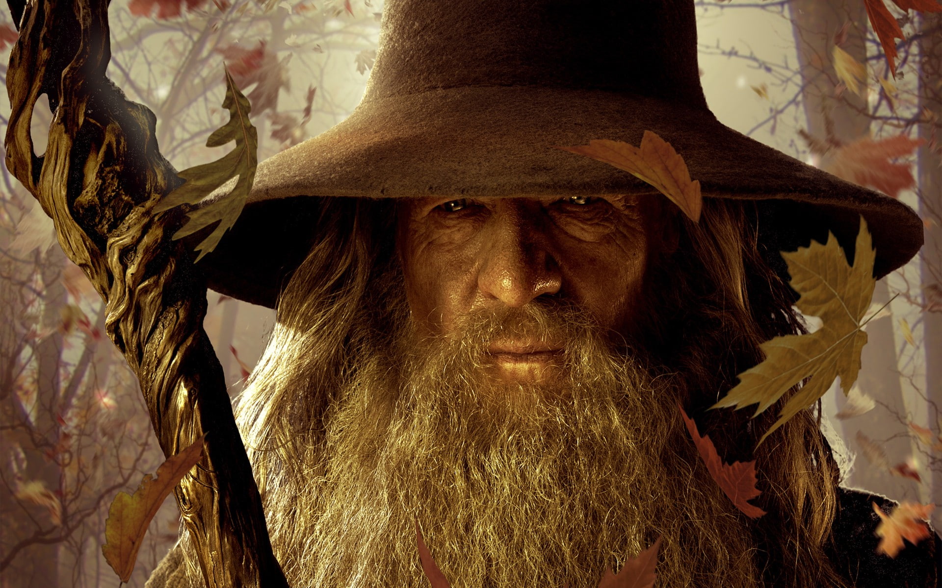 The Lord of the Rings, Fall, Leaves, Gandalf, Wizard, Ian McKellen, gandalf