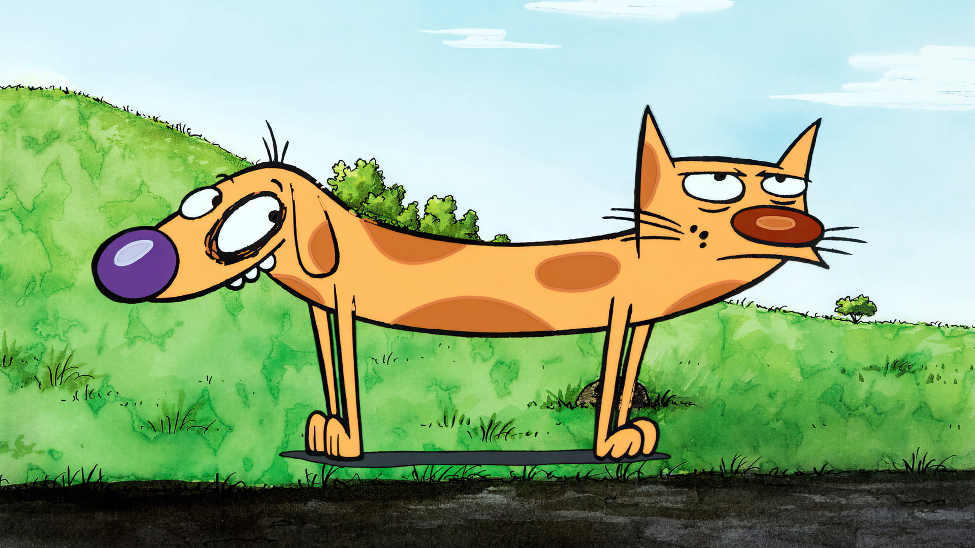 Free download | HD wallpaper: CatDog, animation, cartoon, animated ...