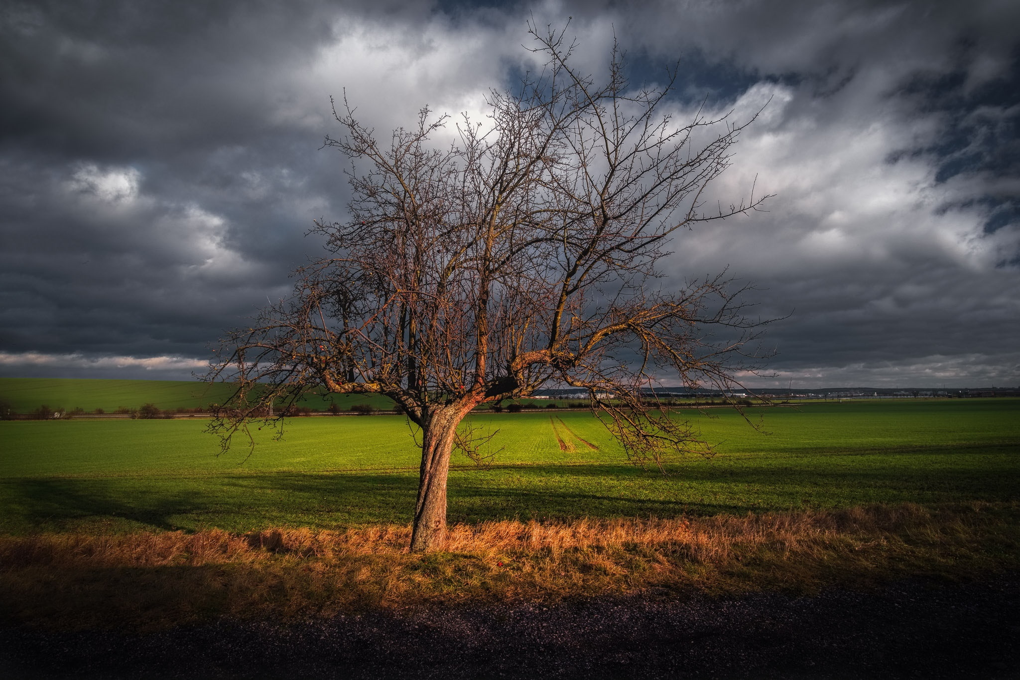 Germany, Thuringia, Haarhausen