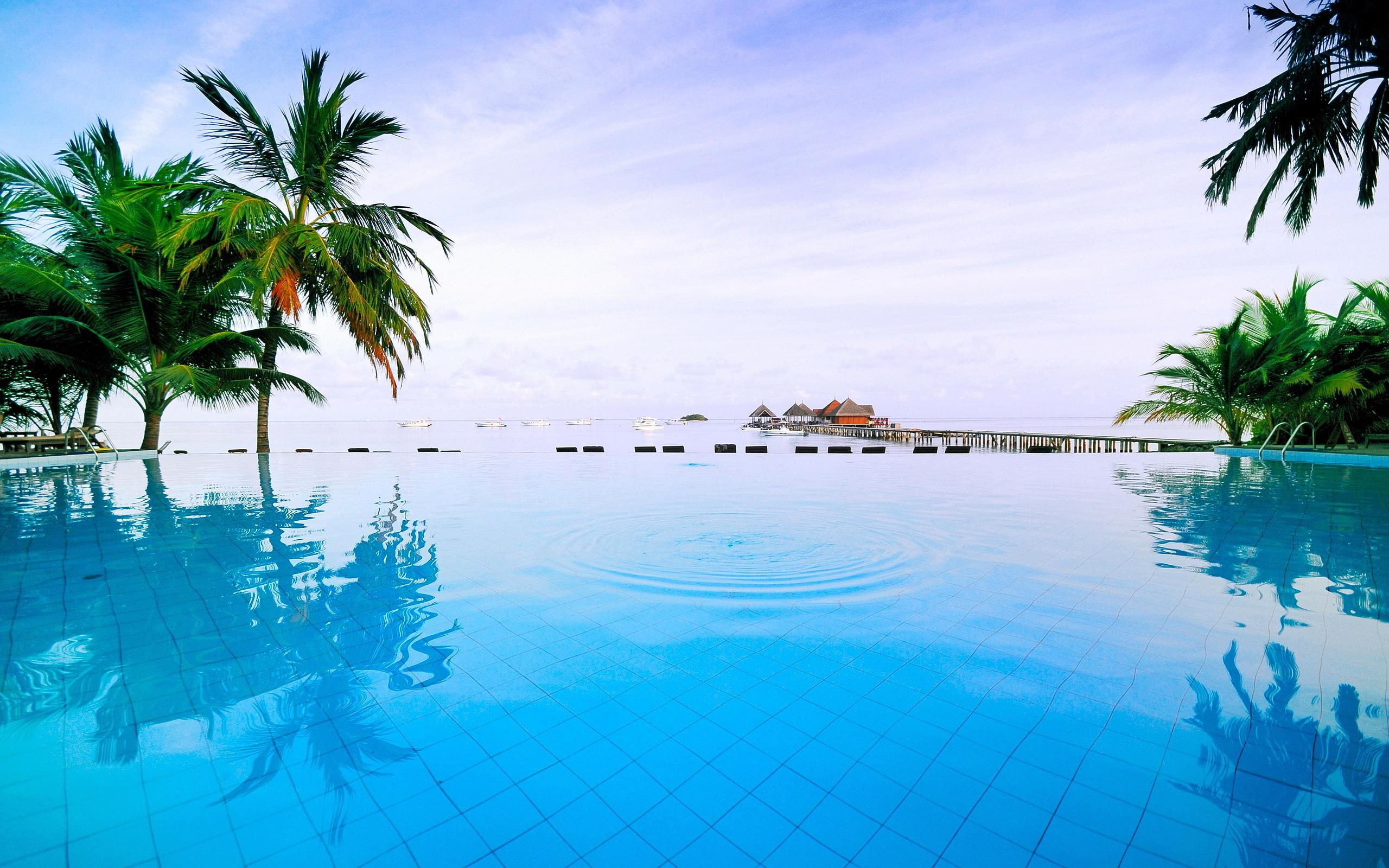 Pool Resort Maldives, beach, nature