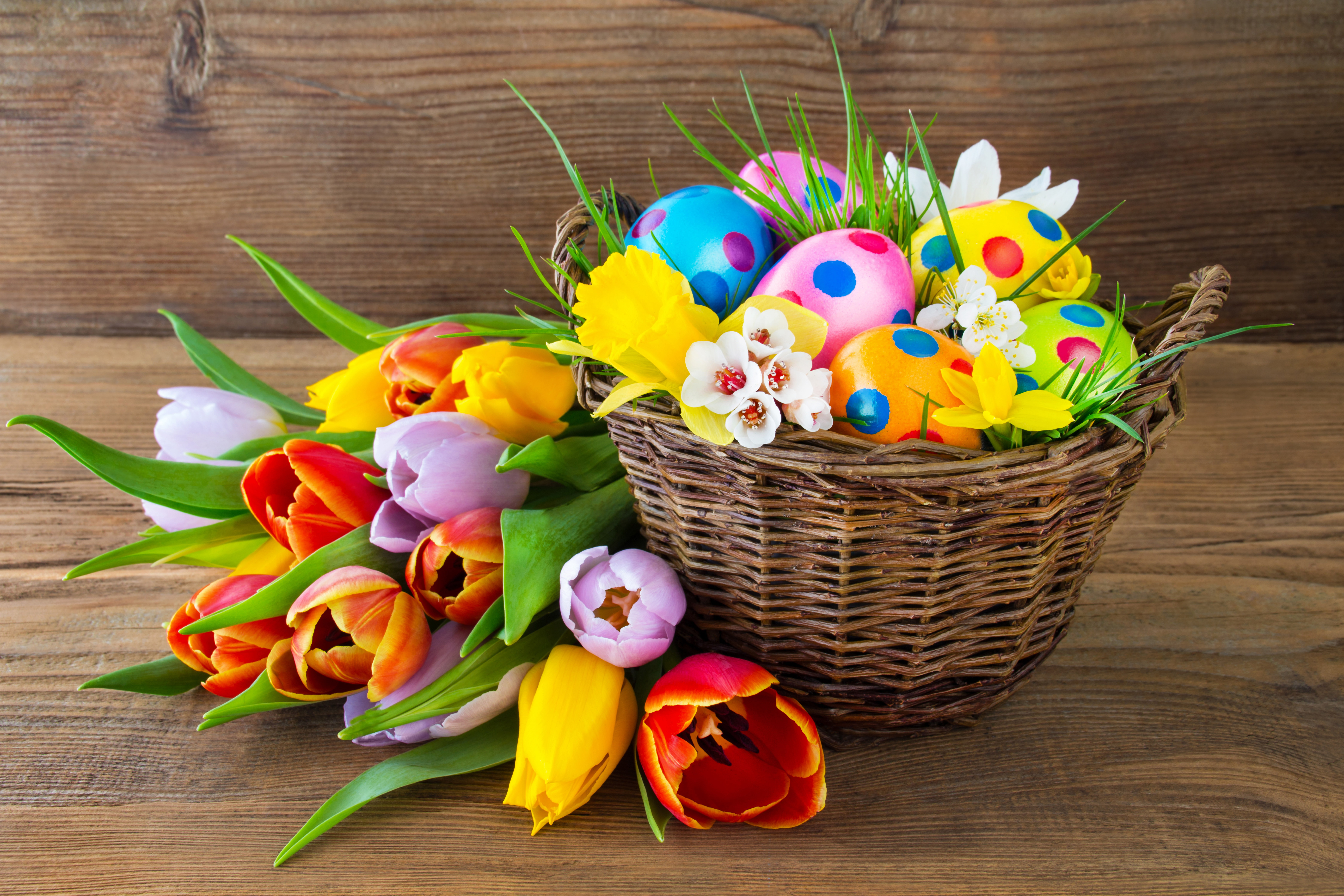 eggs, Easter, Easter eggs, happy easter