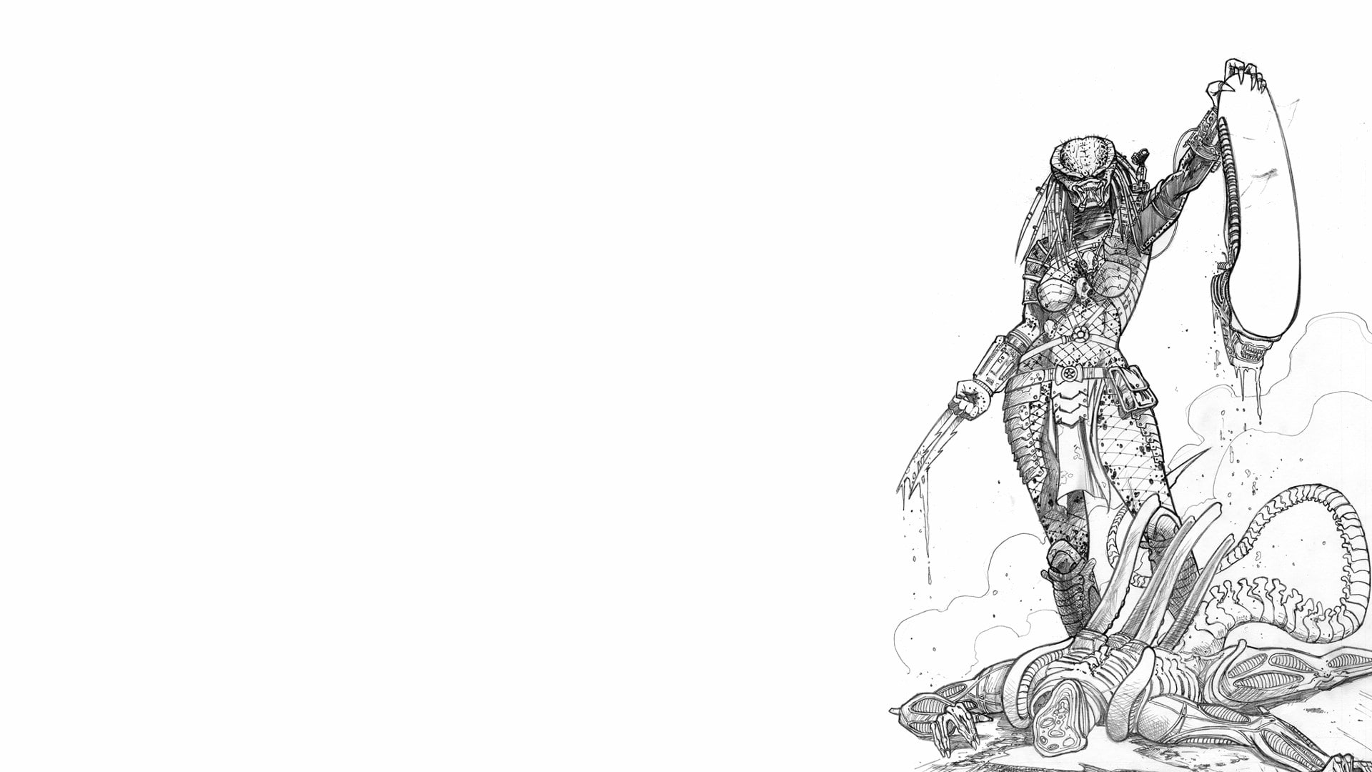 predator, white background, copy space, no people, indoors