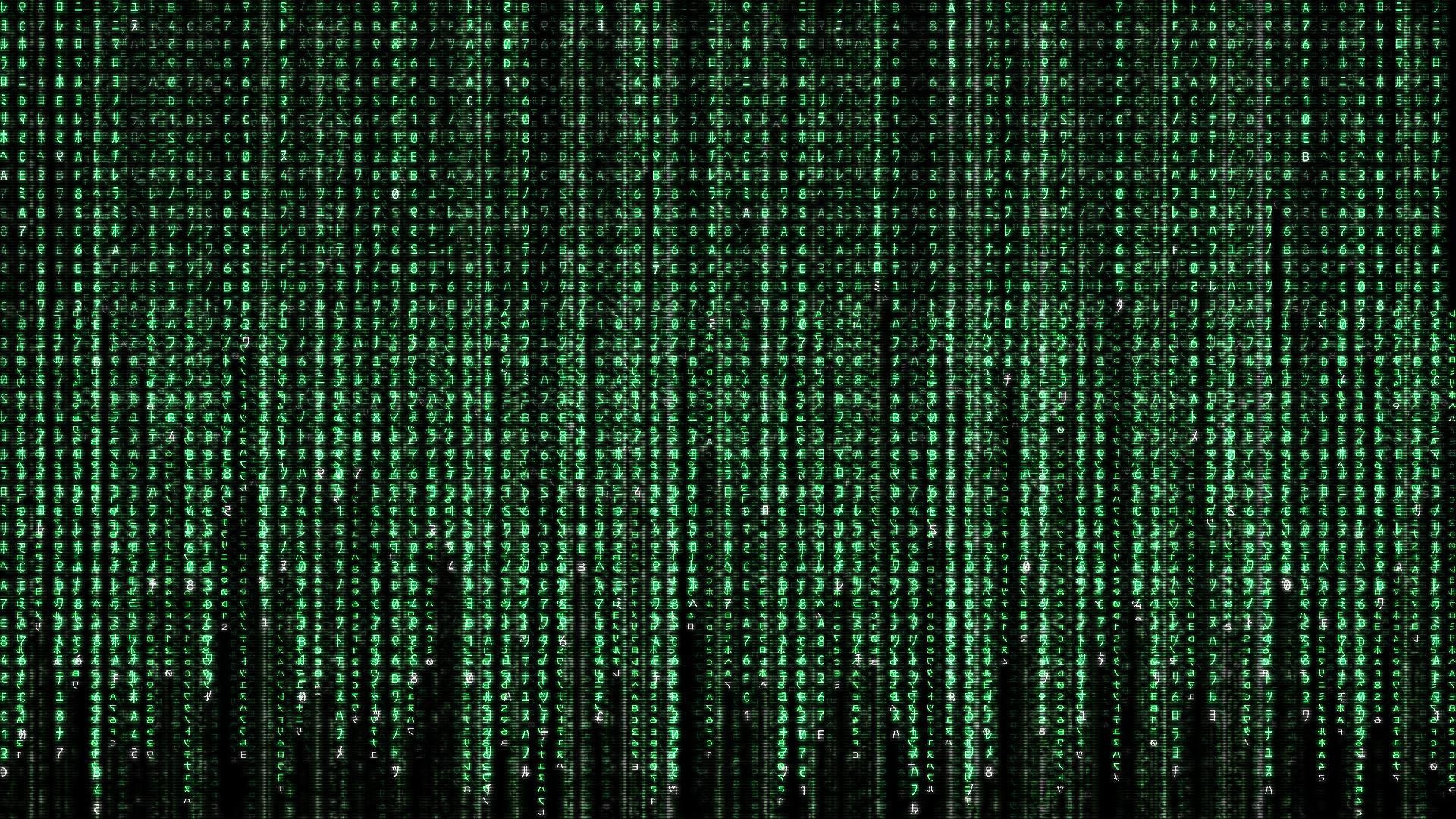 action, adventure, binary, code, computer, cyber, cyberpunk
