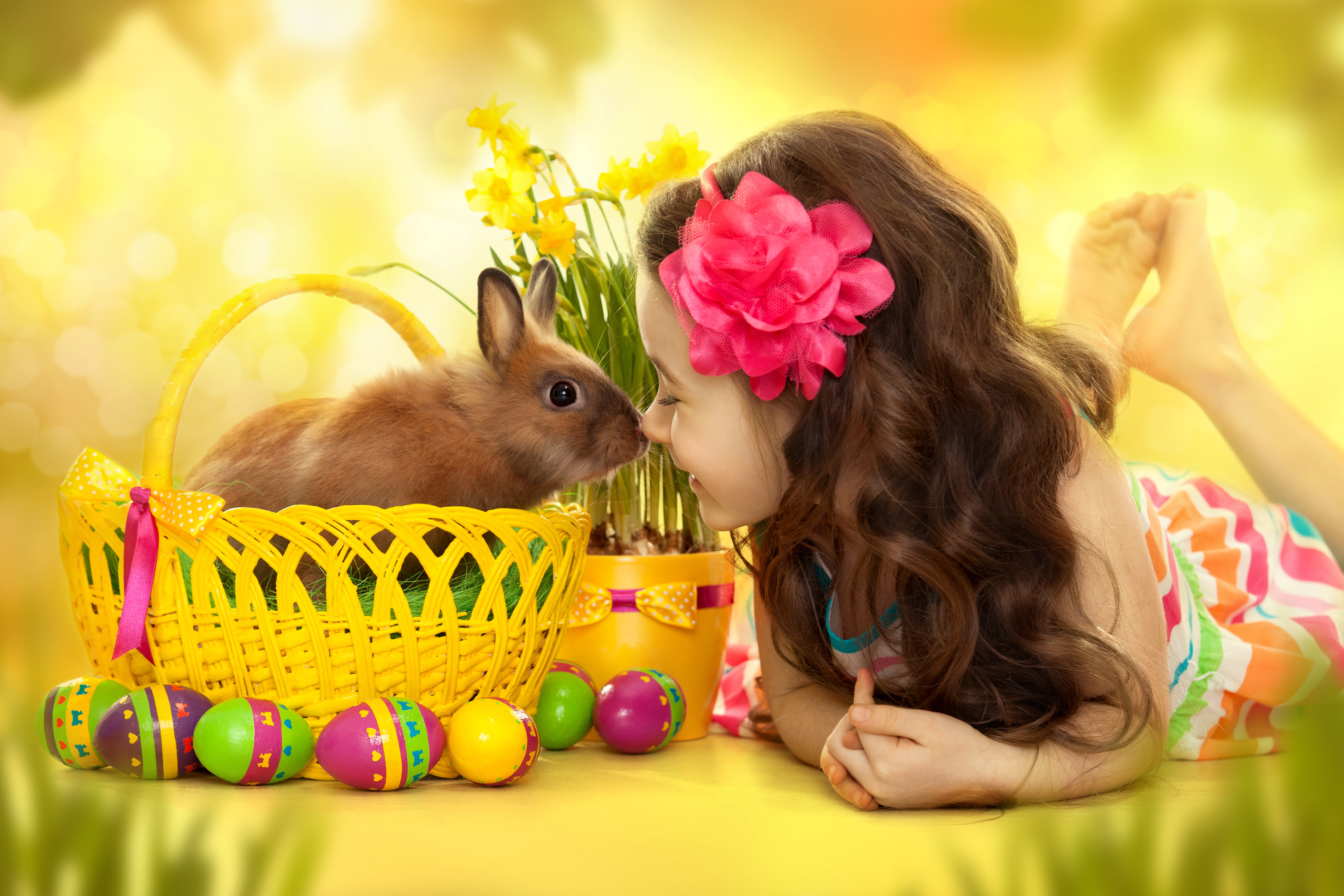 eggs, Easter, Easter eggs
