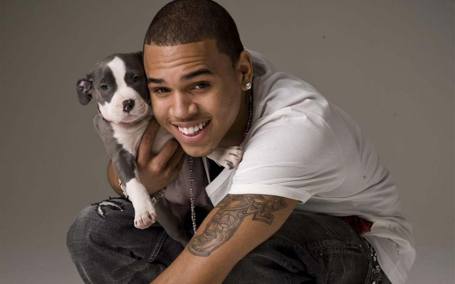 chris brown pictures desktop, looking at camera, portrait, one animal