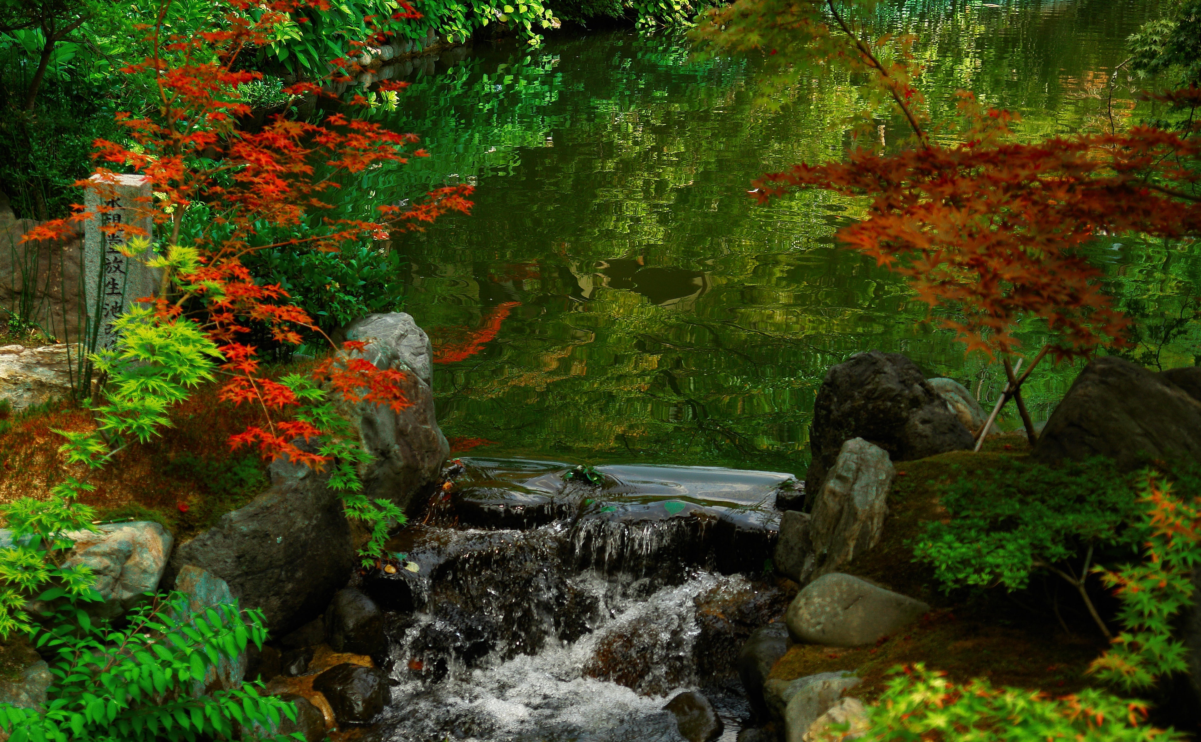 Kyoto Garden, Japan, forest and stream, Asia, nice, nature, water