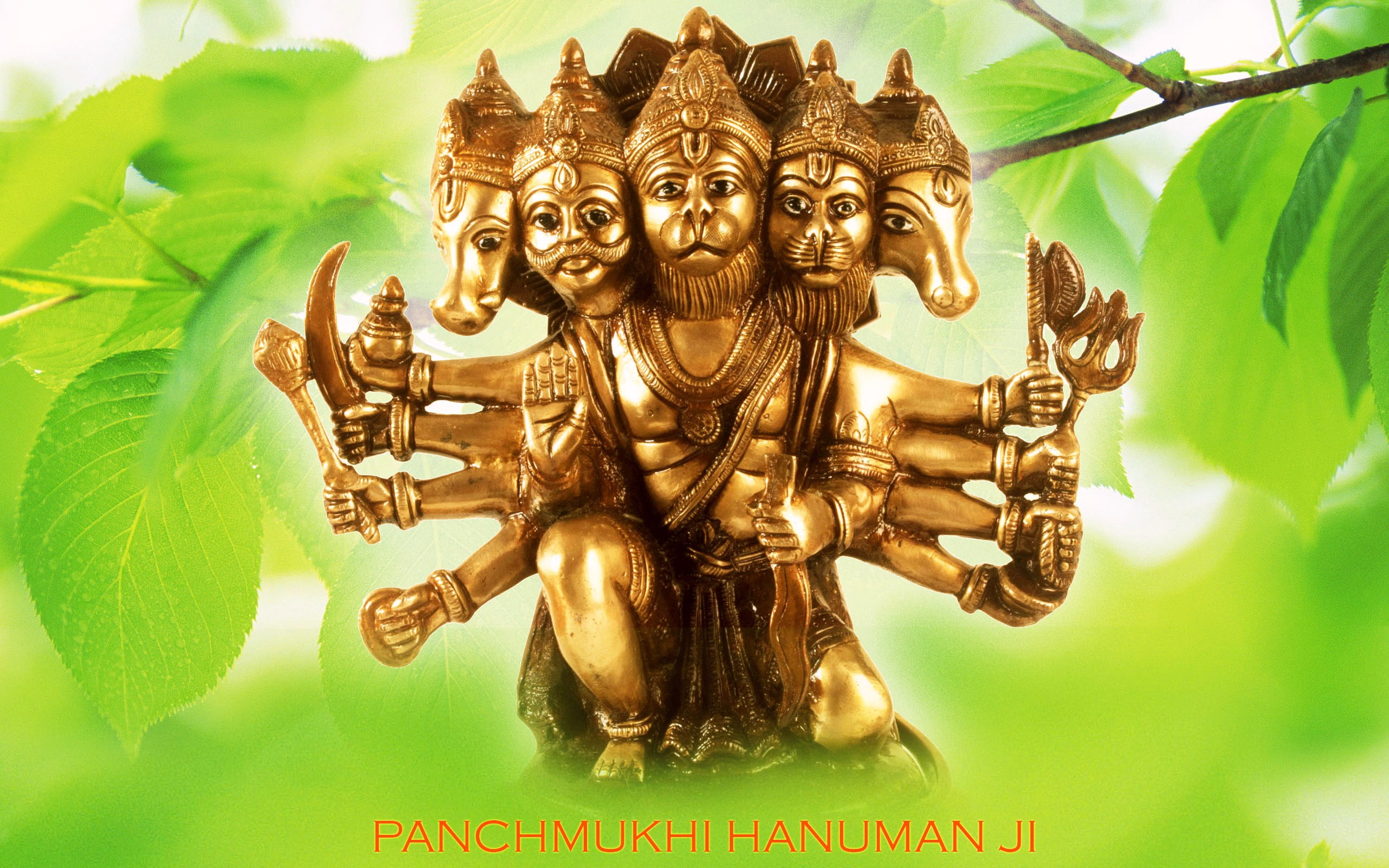 Panchmukhi Hanuman, Hindu Deity figurine, God, Lord Hanuman, belief