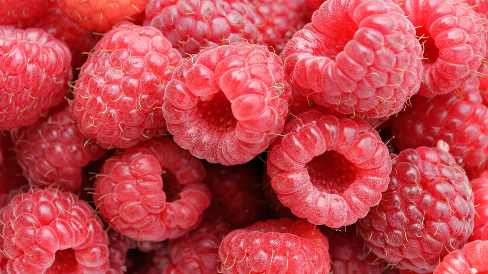 raspberry