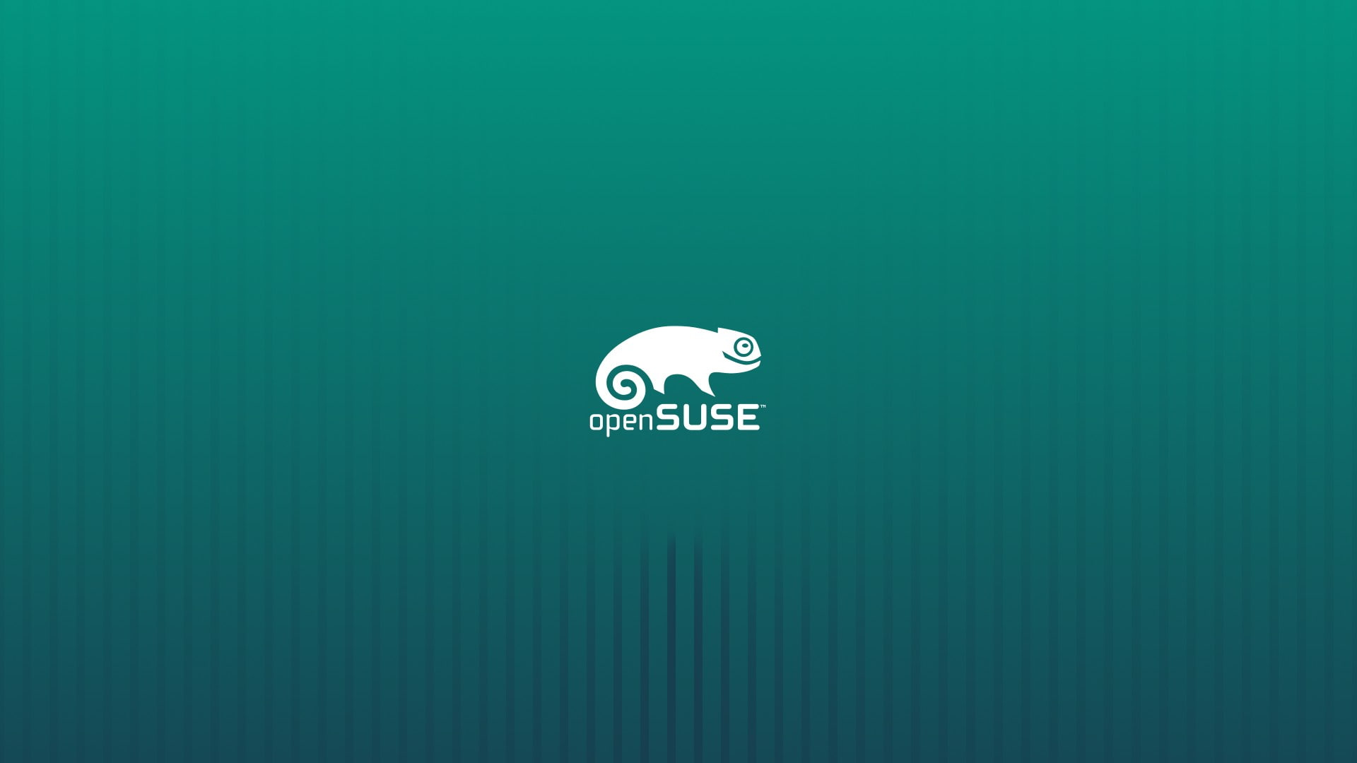opensuse linux, communication, technology, data, text, internet