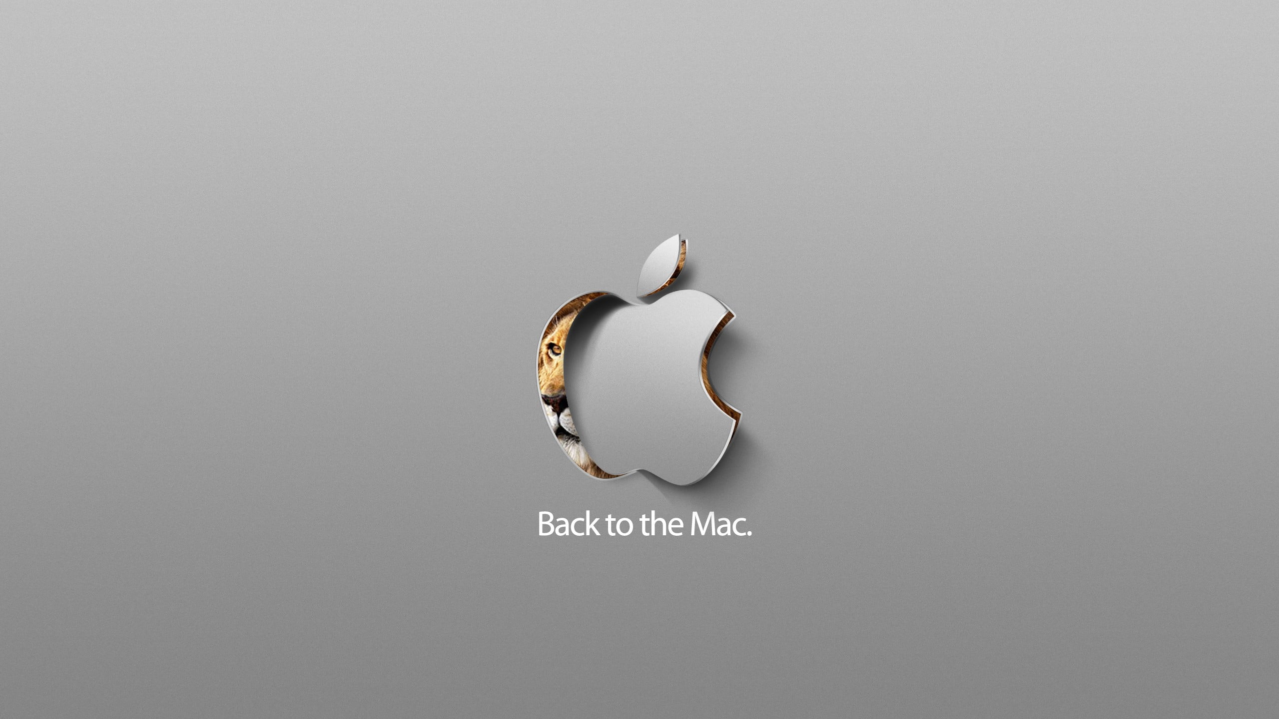 gray Back to the Mac logo, Apple Inc., studio shot, indoors, broken