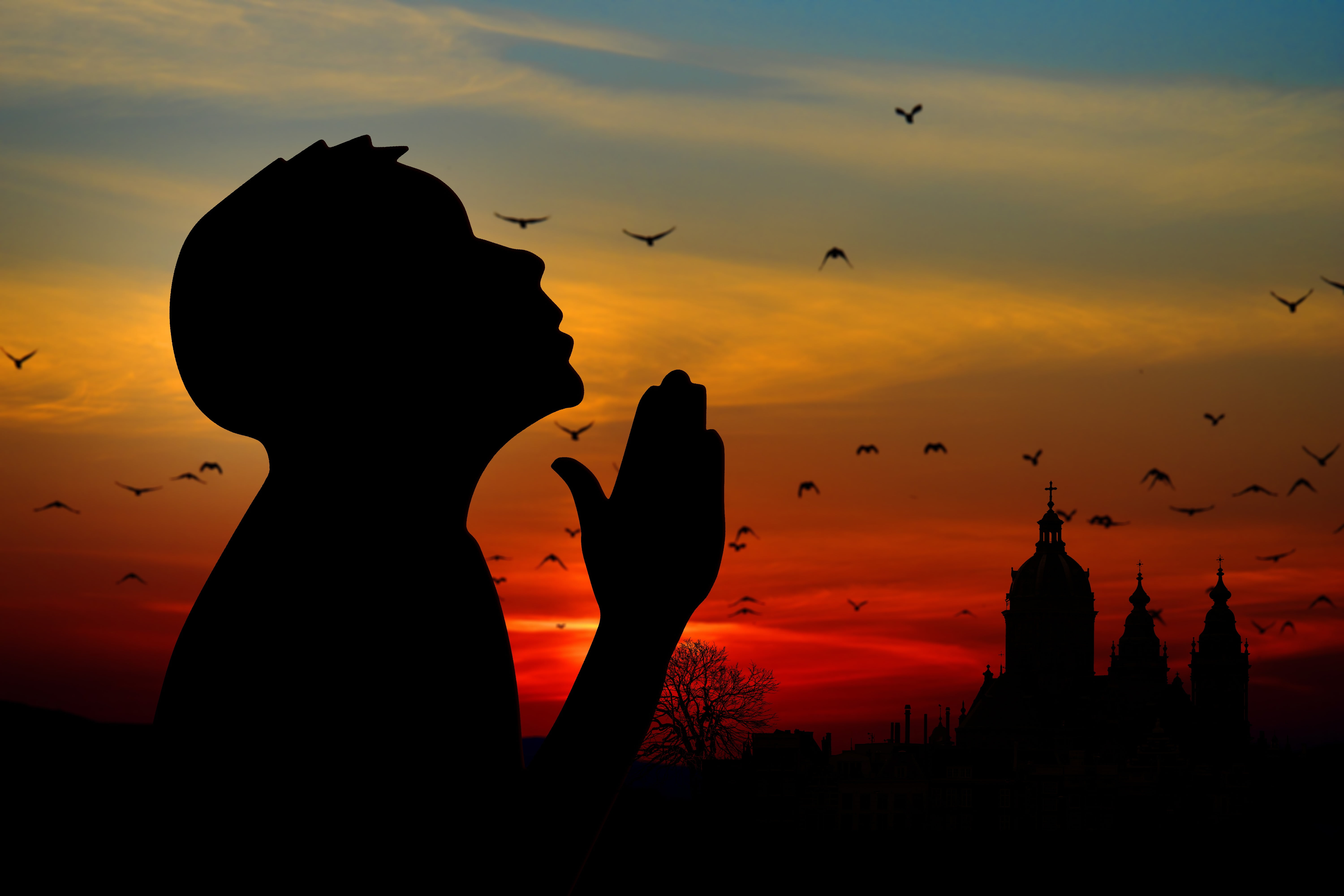 silhouette of man photo, prayer, sky, sunset, back Lit, dusk