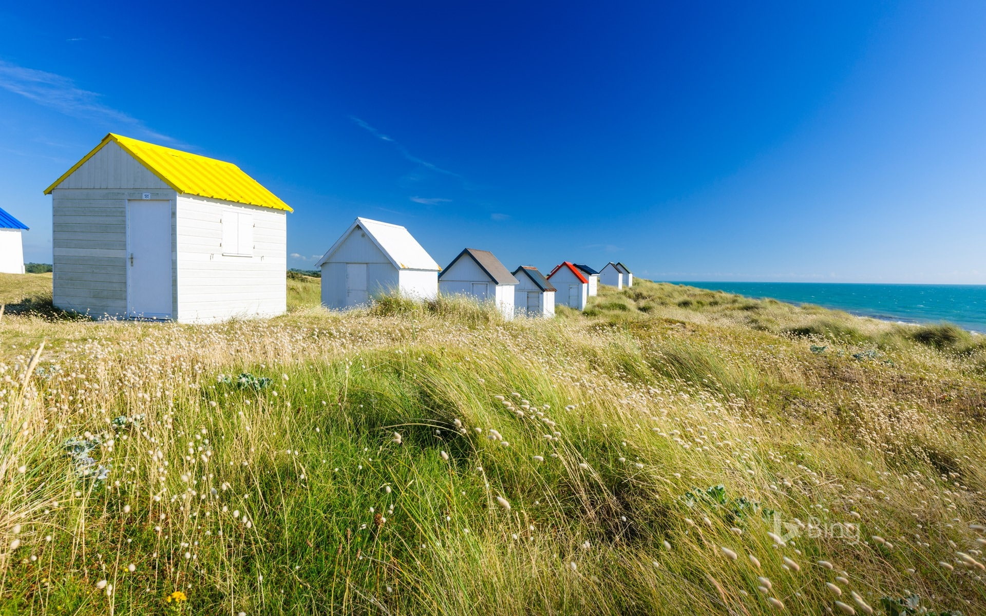Beach cabins in Gouville sur Mer Cotentin Manch-20.., land, grass
