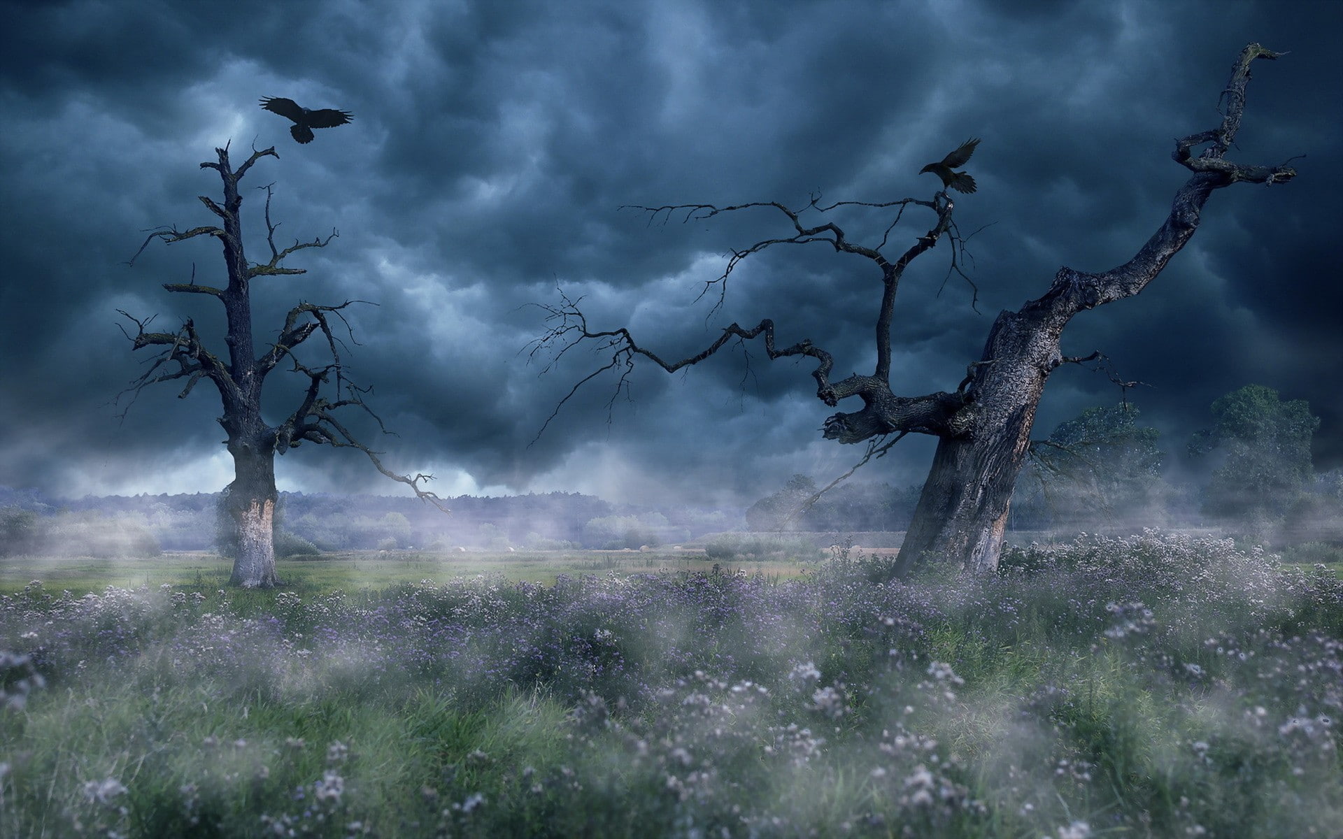 sky, clouds, landscape, trees