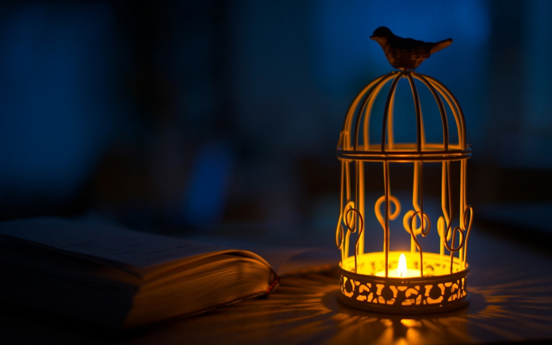 animals, birds, books, Cages, candles