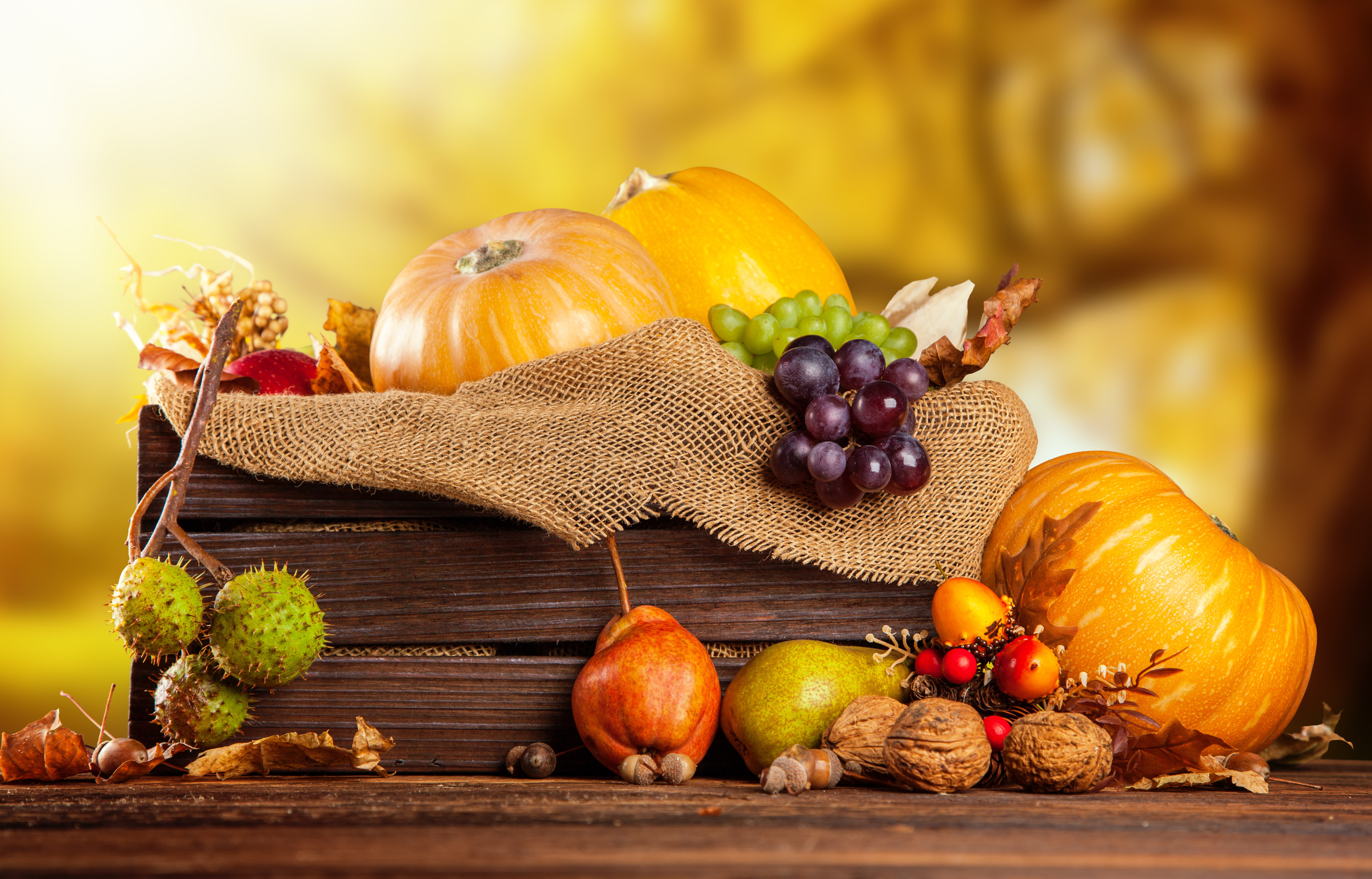 orange squash, autumn, harvest, grapes, pumpkin, fruit, nuts