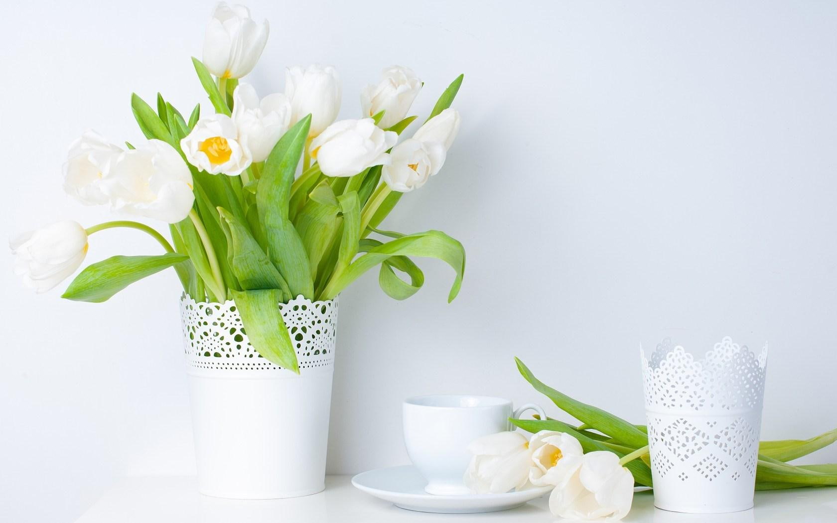Tulips White Flowers Vase Spring