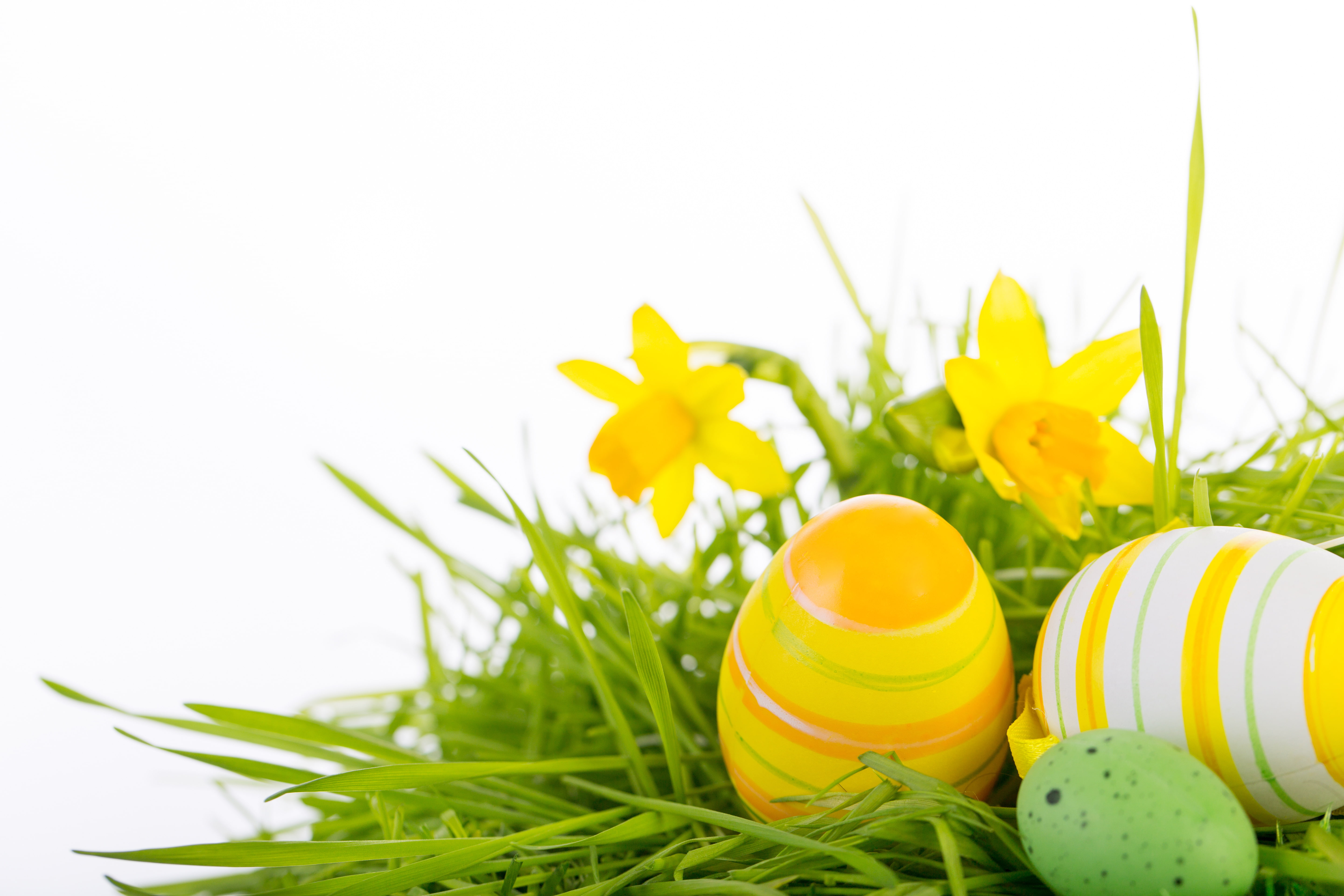 eggs, Easter, Easter eggs, happy easter
