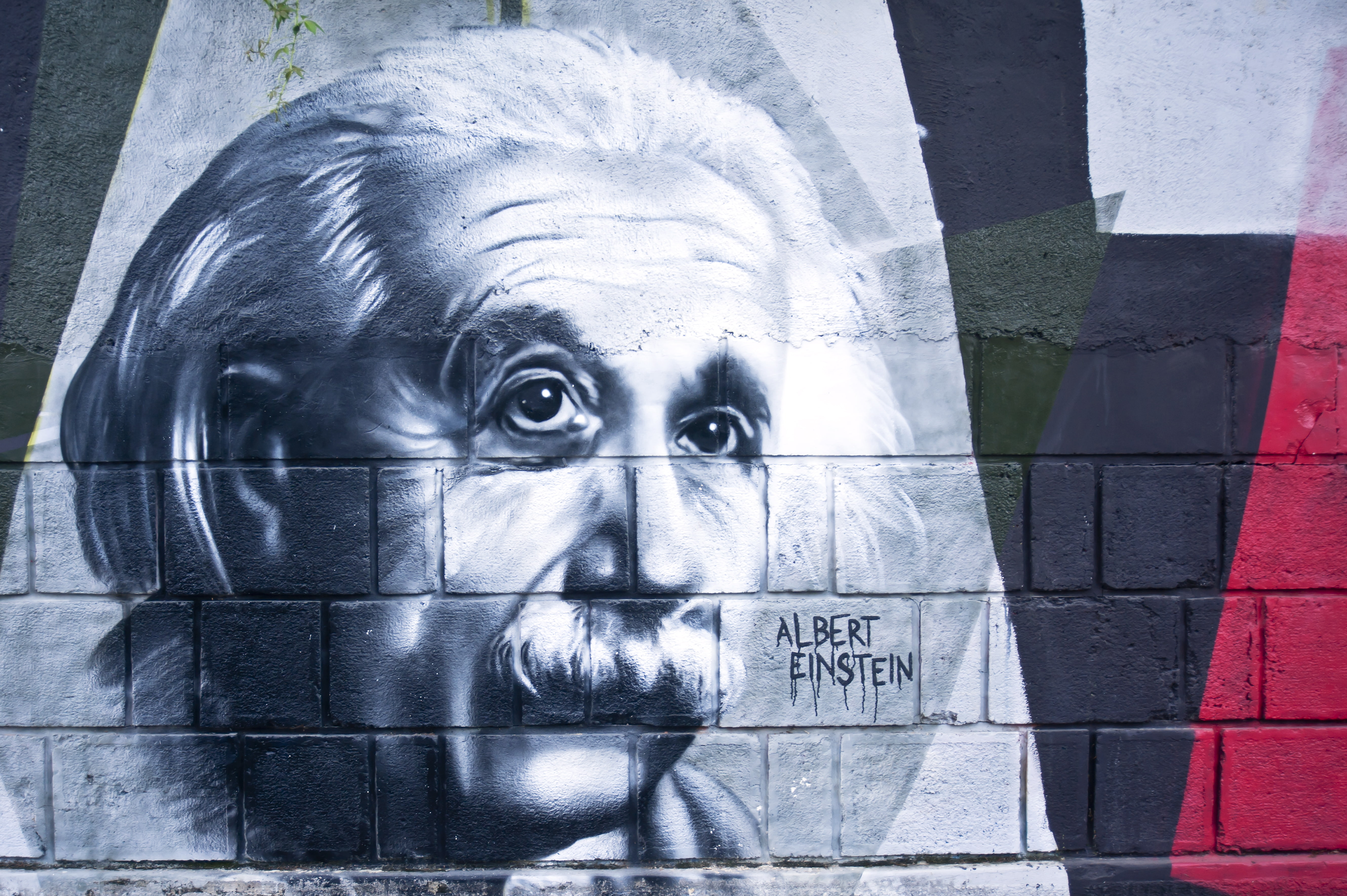 wall, pattern, albert einstein