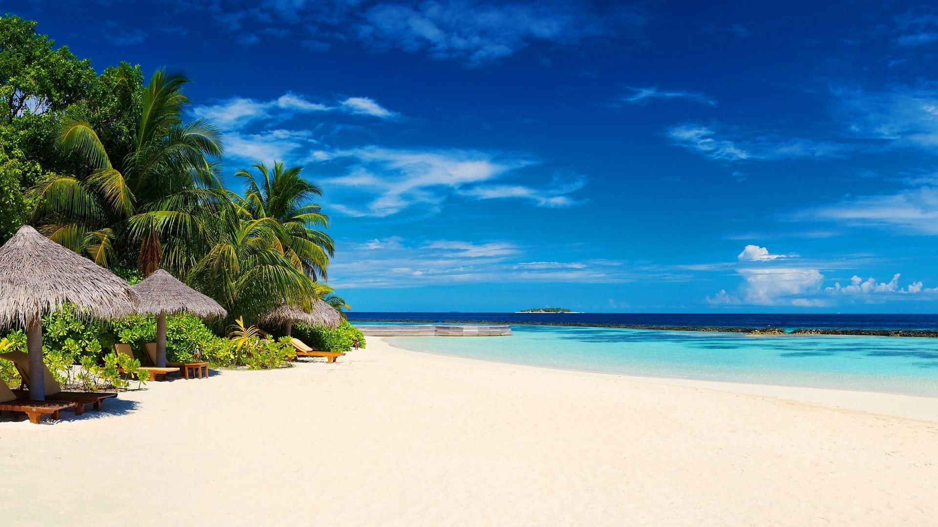 Dream Beach, picture, holidays, isle, beautiful, water, vacation
