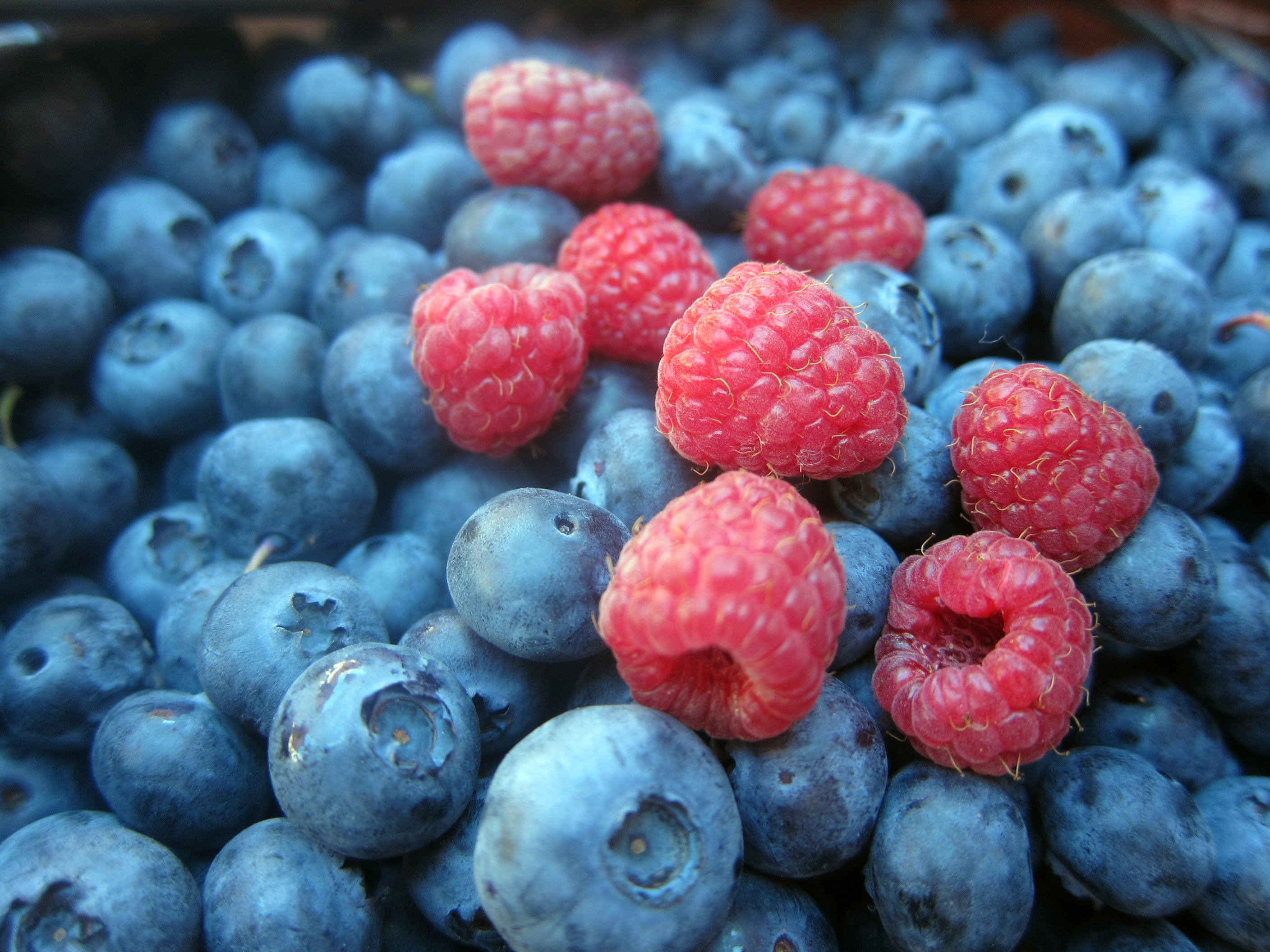 blueberries and raspberries, fruit, food, freshness, blueberry