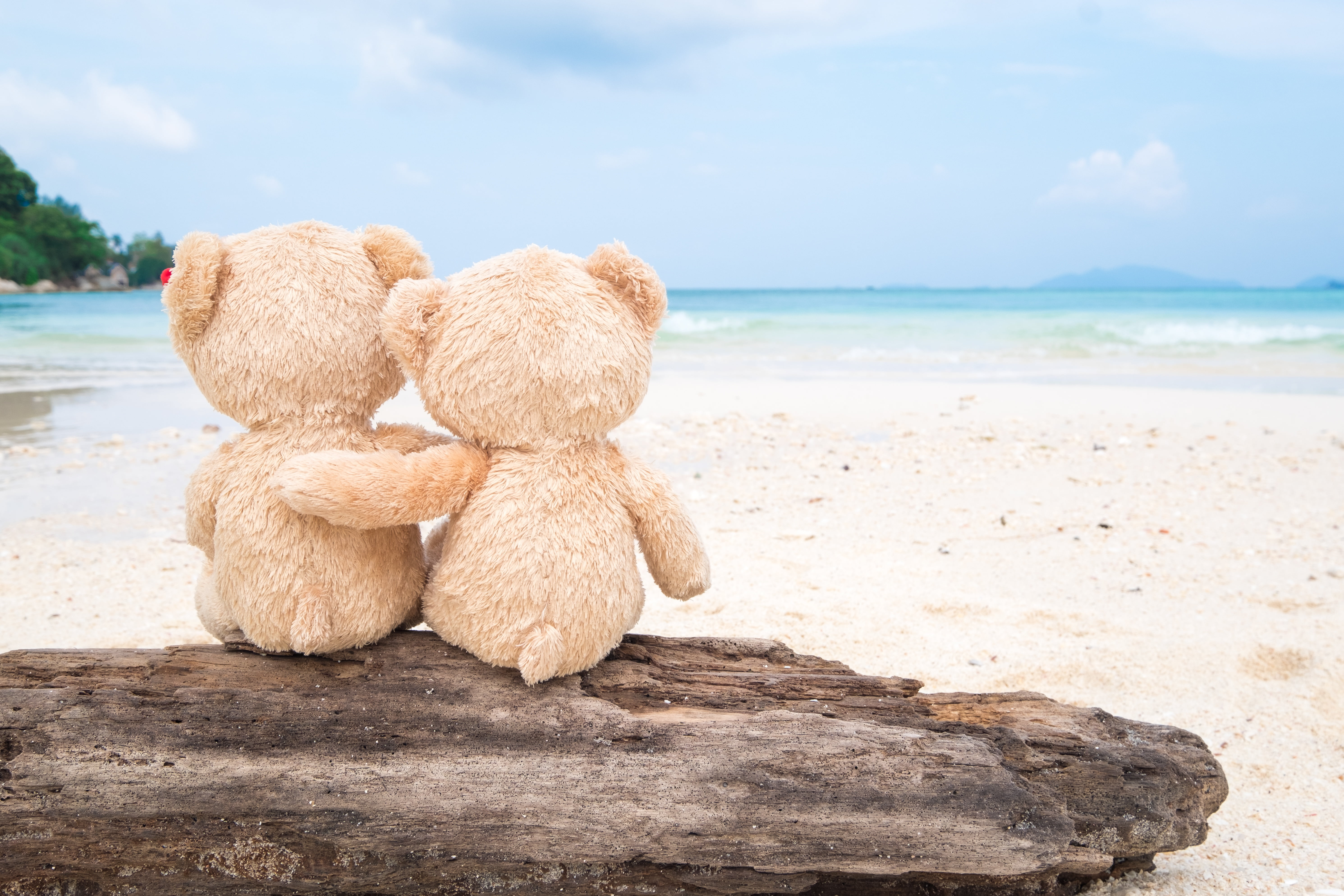 sand, sea, beach, love, toy, bear, pair, Board, two, romantic