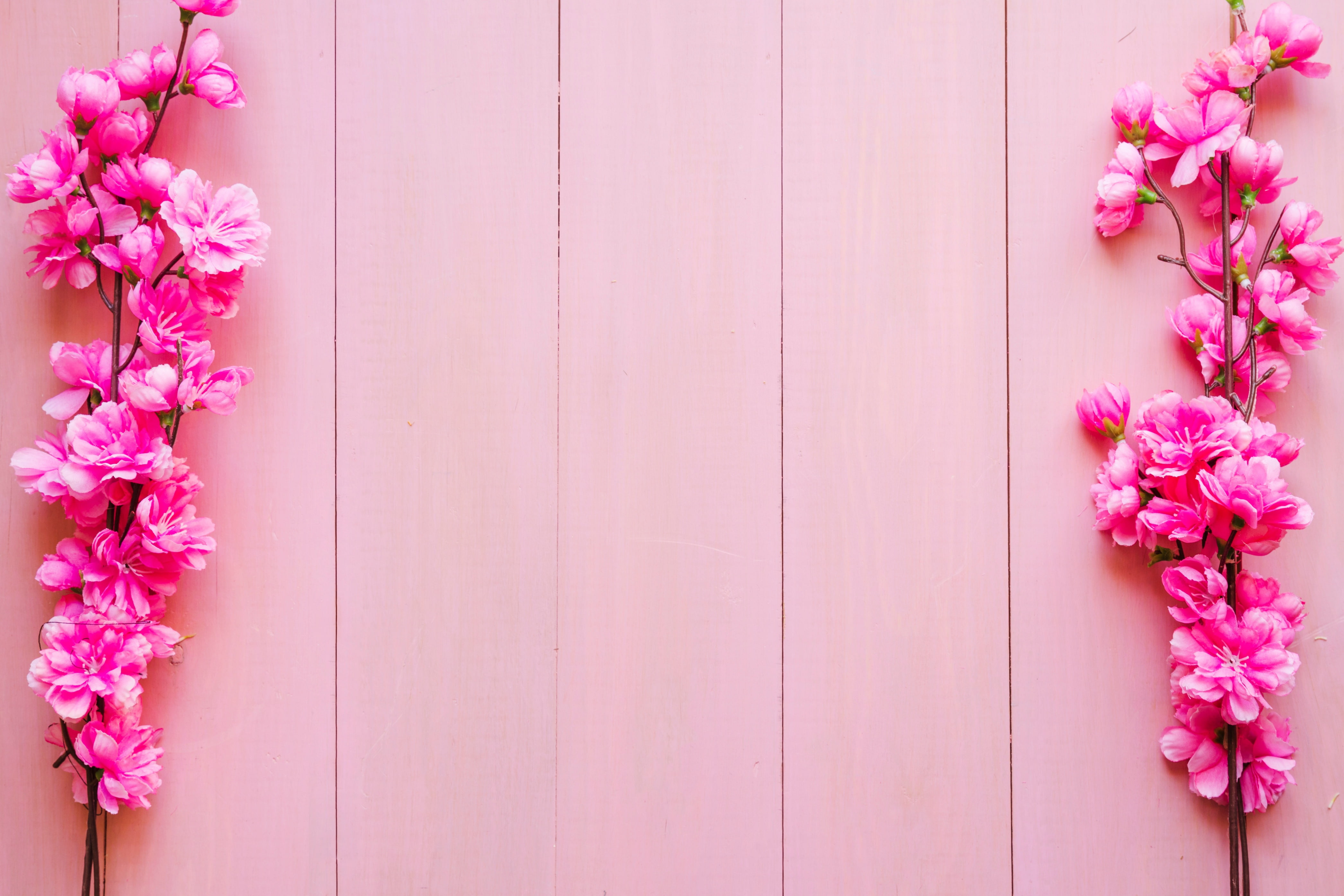 flowers, branches, background, pink, wood, blossom, spring
