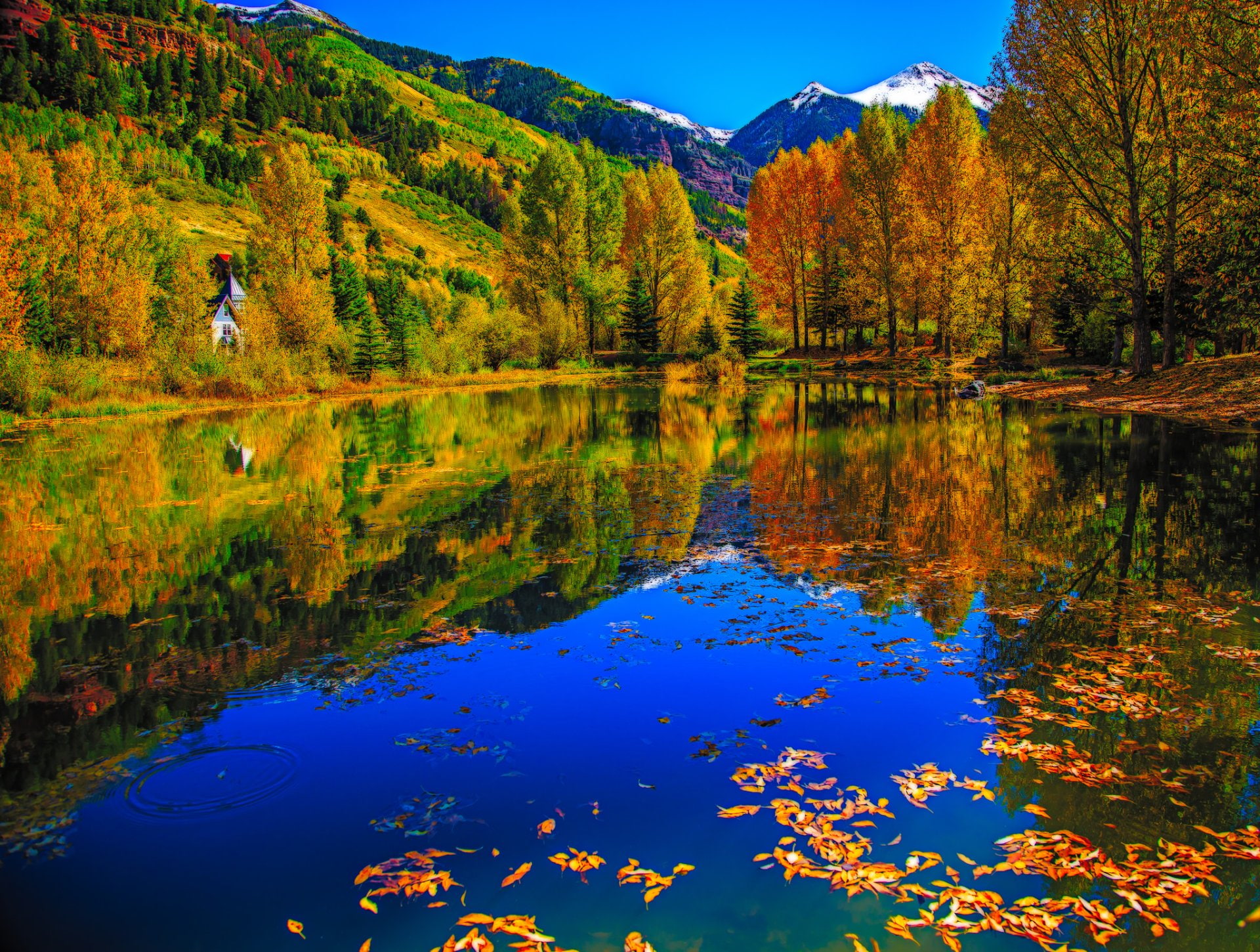 Earth, Reflection, Fall, Foliage, Forest, Lake, Tree