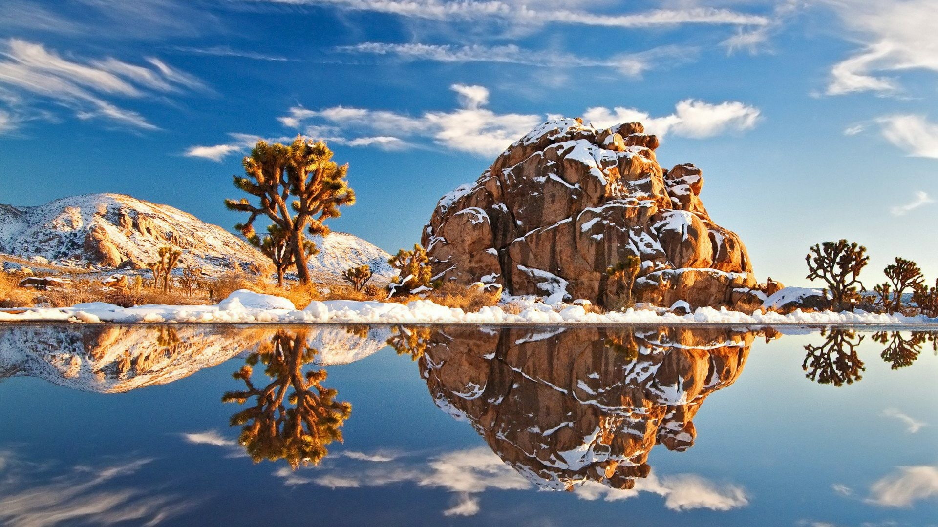 landscape, lake, cactus, cacti, united states, california, national park