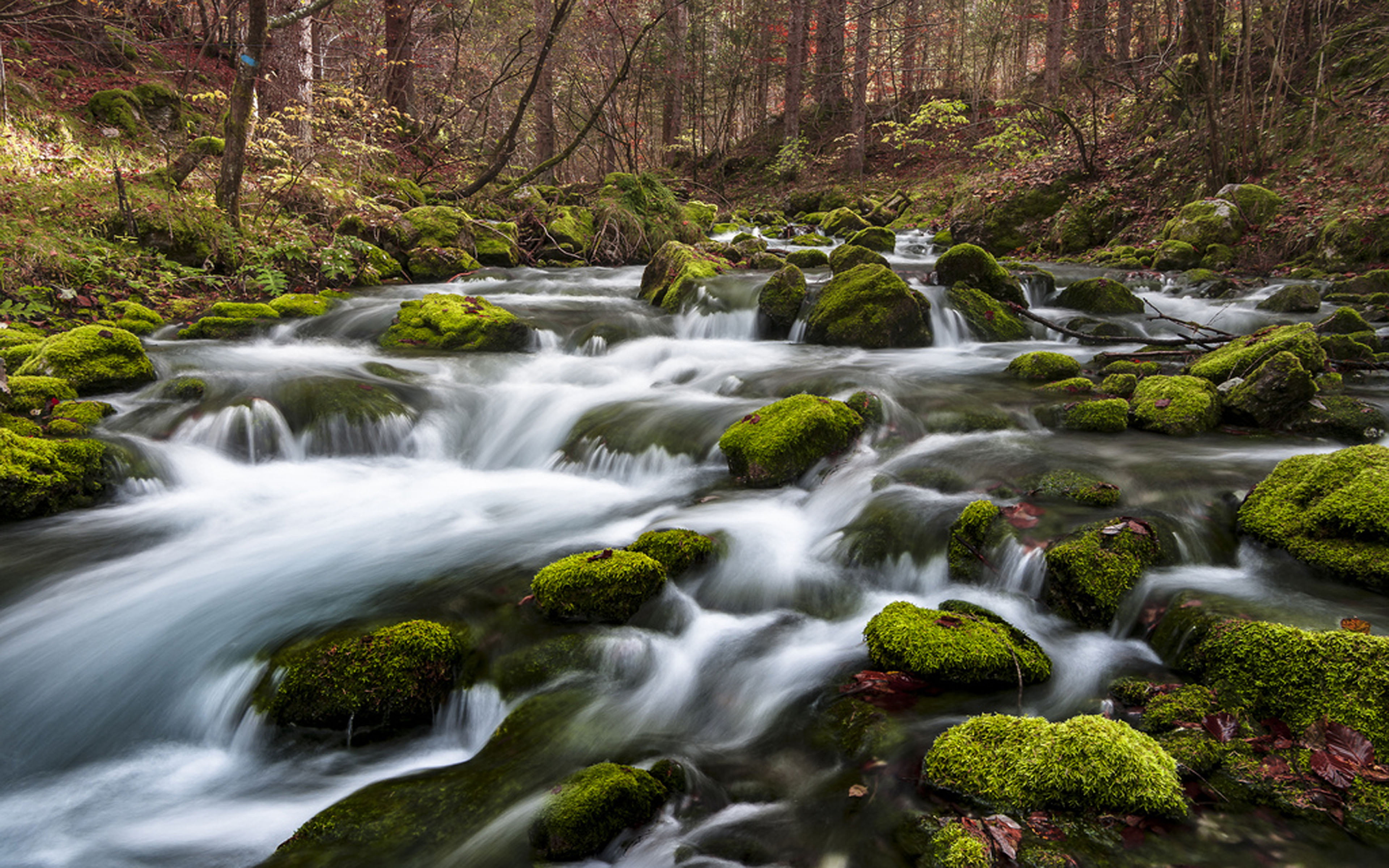 Beautiful Wallpaper Hd Resolution, High Contrast, Fast Mountain River Clear Water And White Stones With Green Moss Forest Trees Desktop Wallpaper Hd For Mobile Phones And Laptops