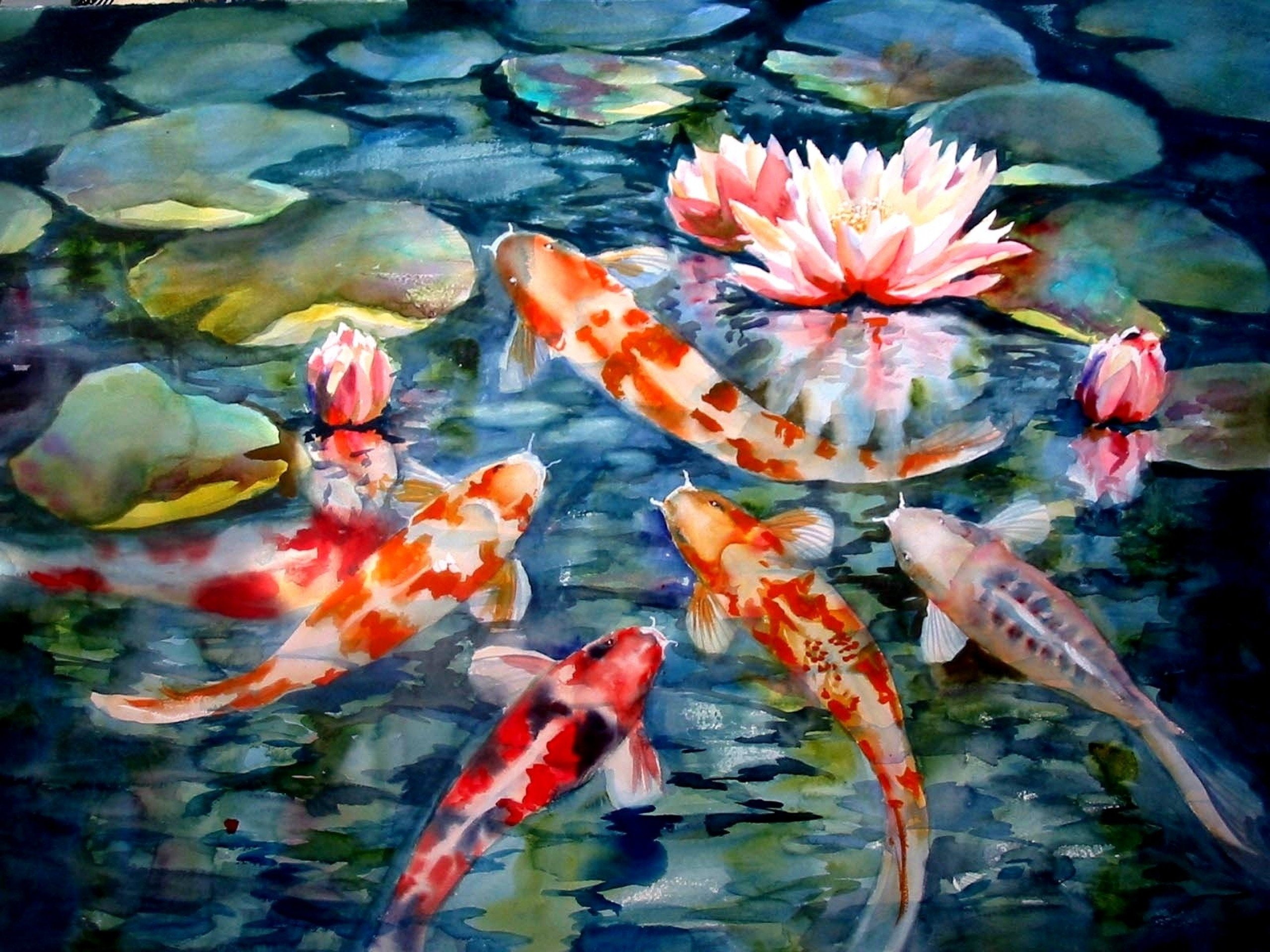 artwork, fish, koi, lilies, lily, pads, paintings, water