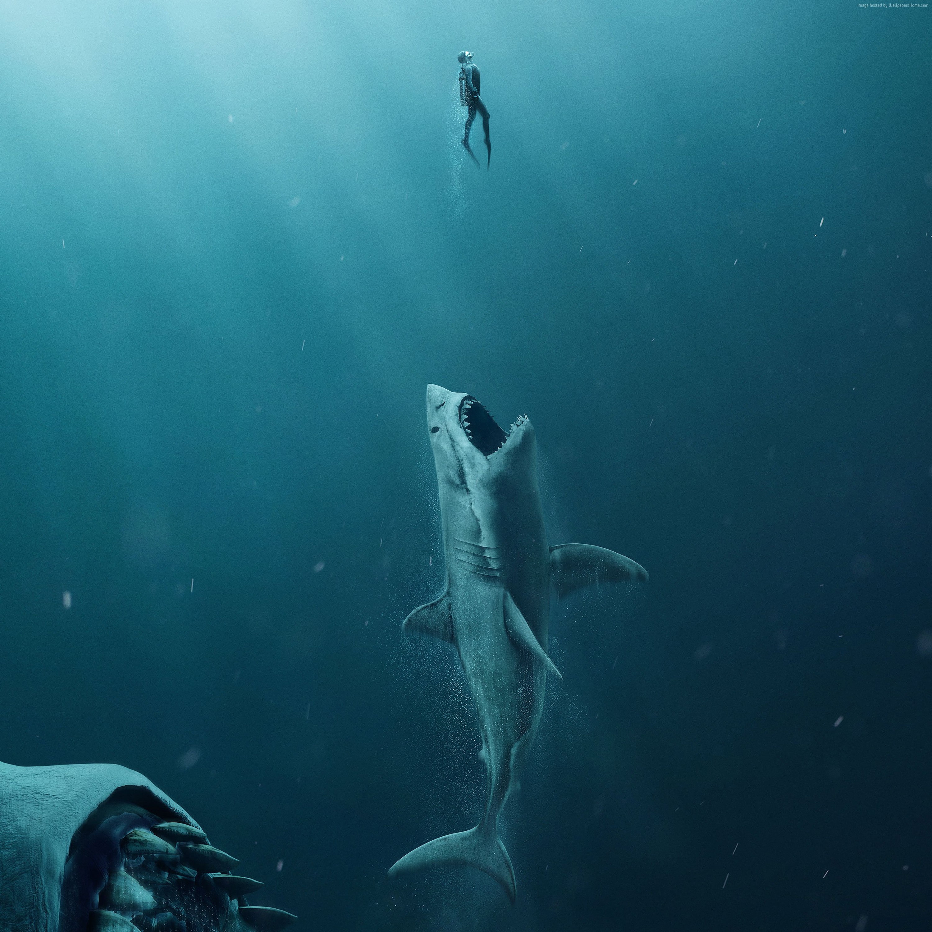 4k, The Meg, shark