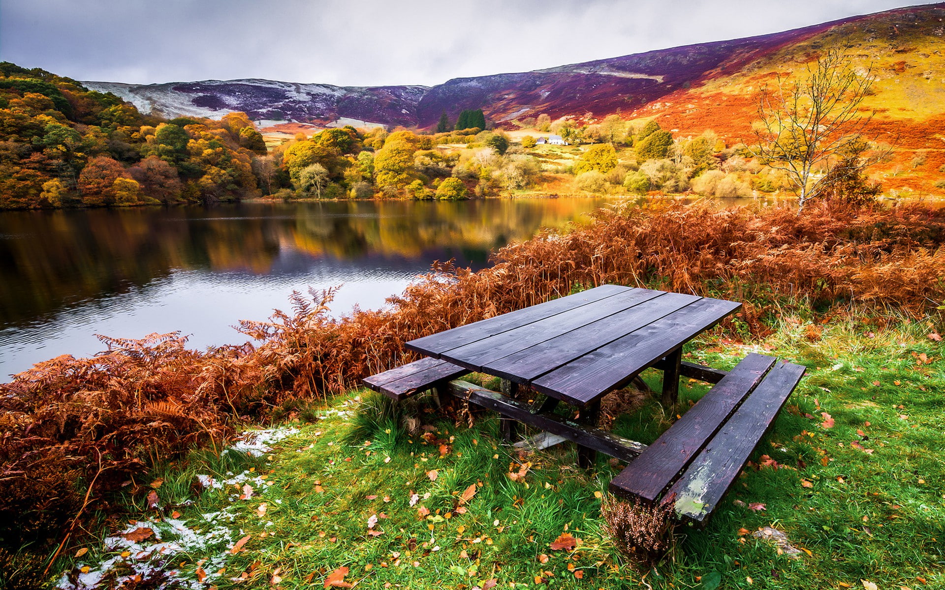 Table in nature, black wooden picnic table